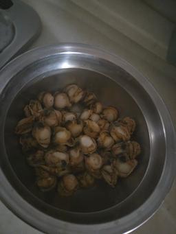 통영 홍가리비(6kg/12kg)-1