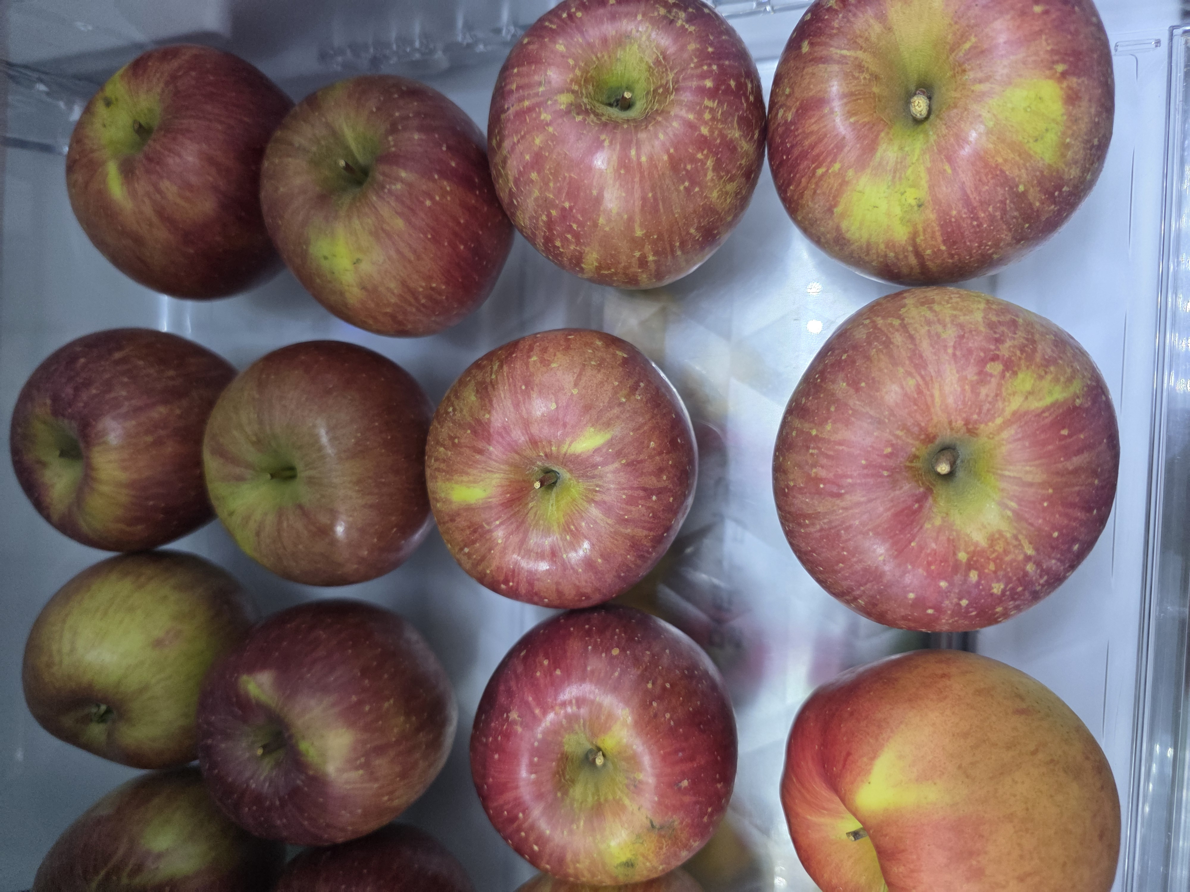 풍기농협 영주사과 3.5kg-1