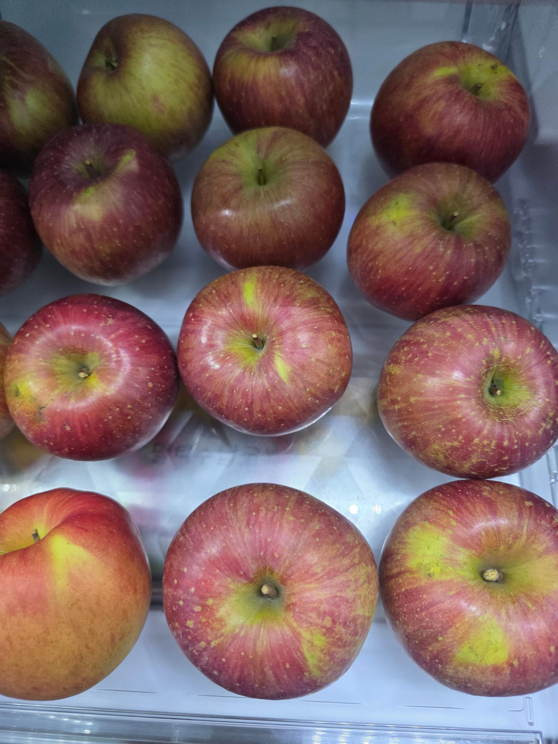 풍기농협 영주사과 3.5kg 이미지