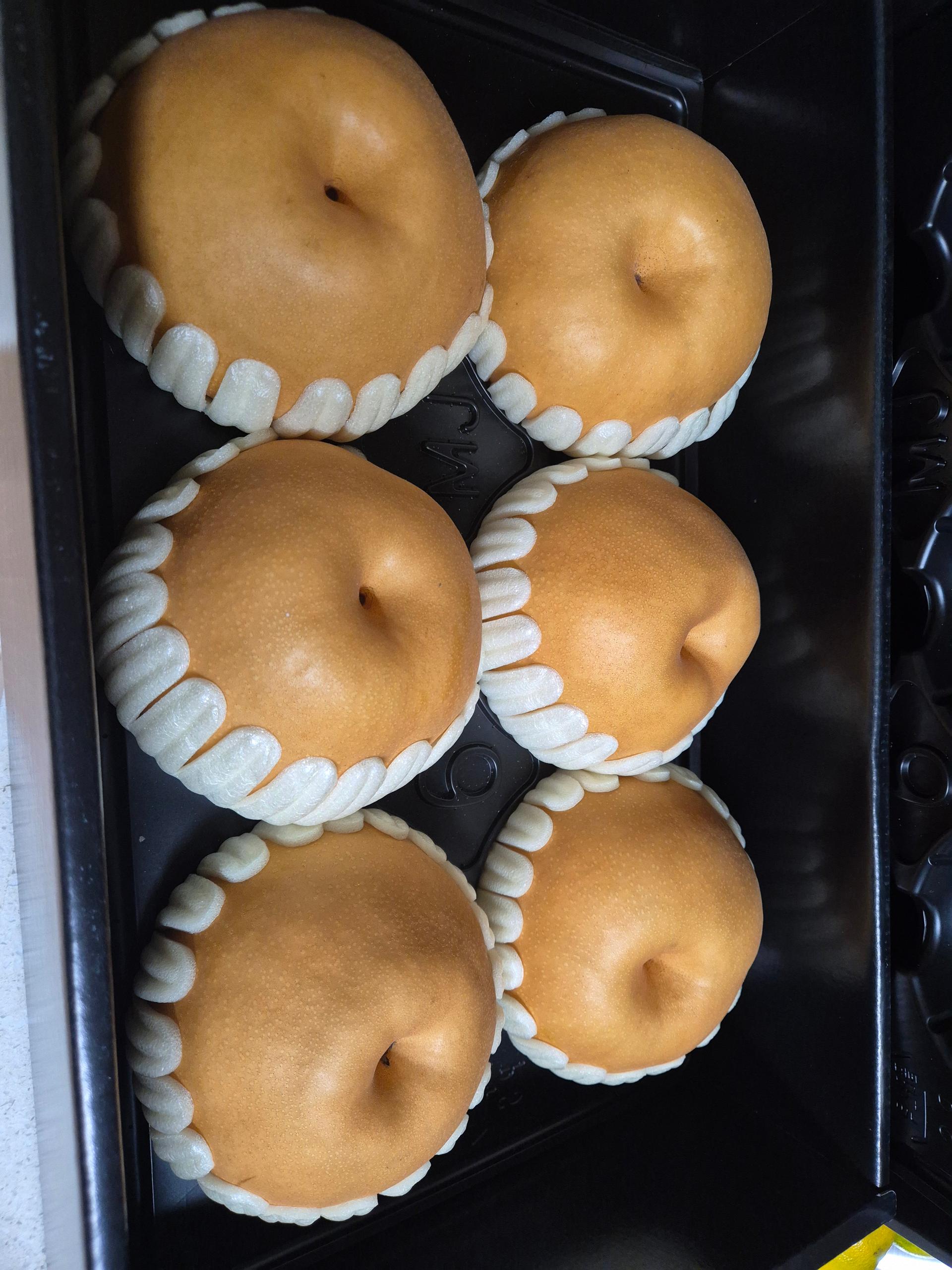 포토후기 이미지