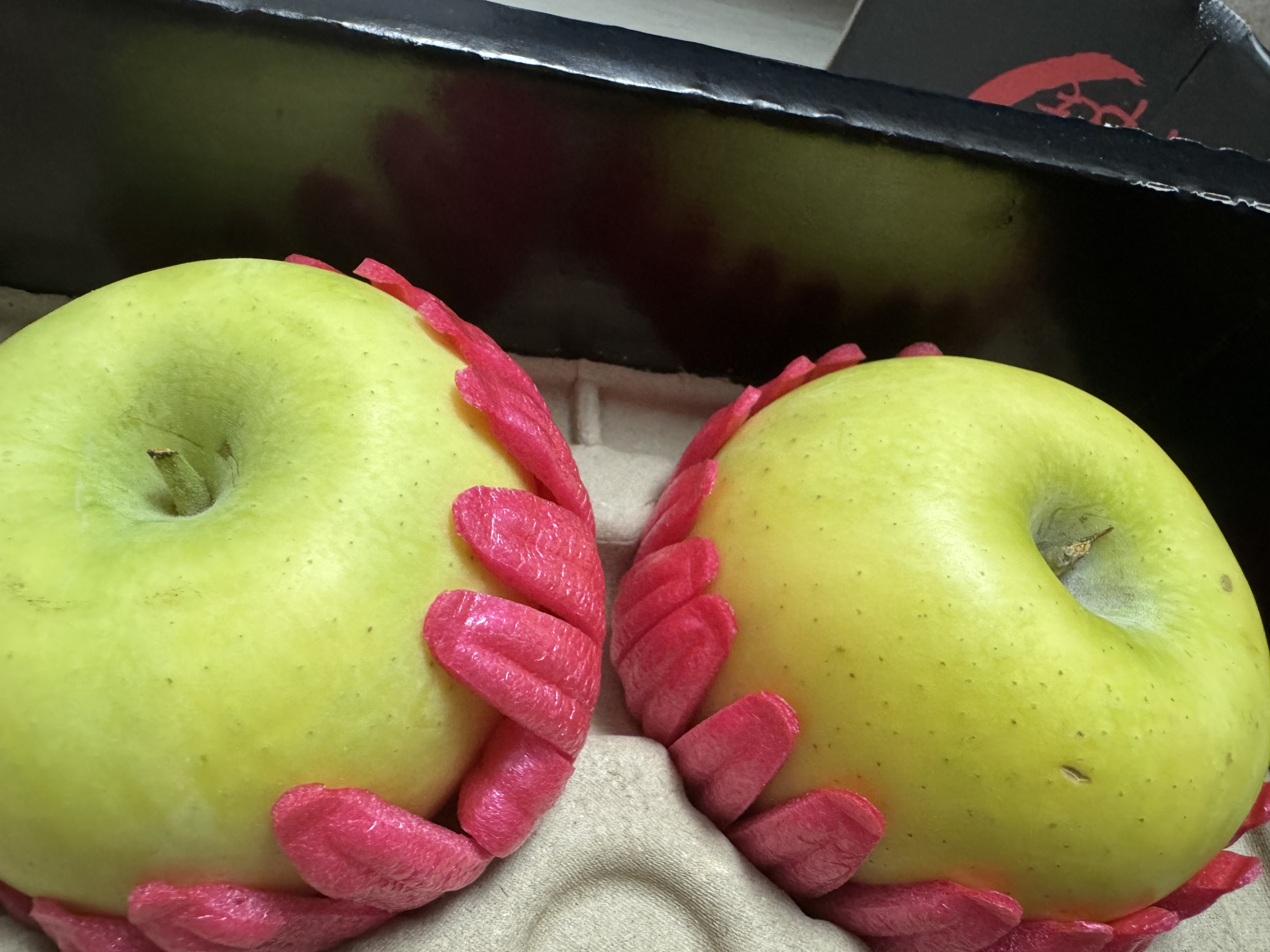 대경사과원예농협 영주사과 3.2kg 선물세트 (11입내)+1kg 추가증정-1