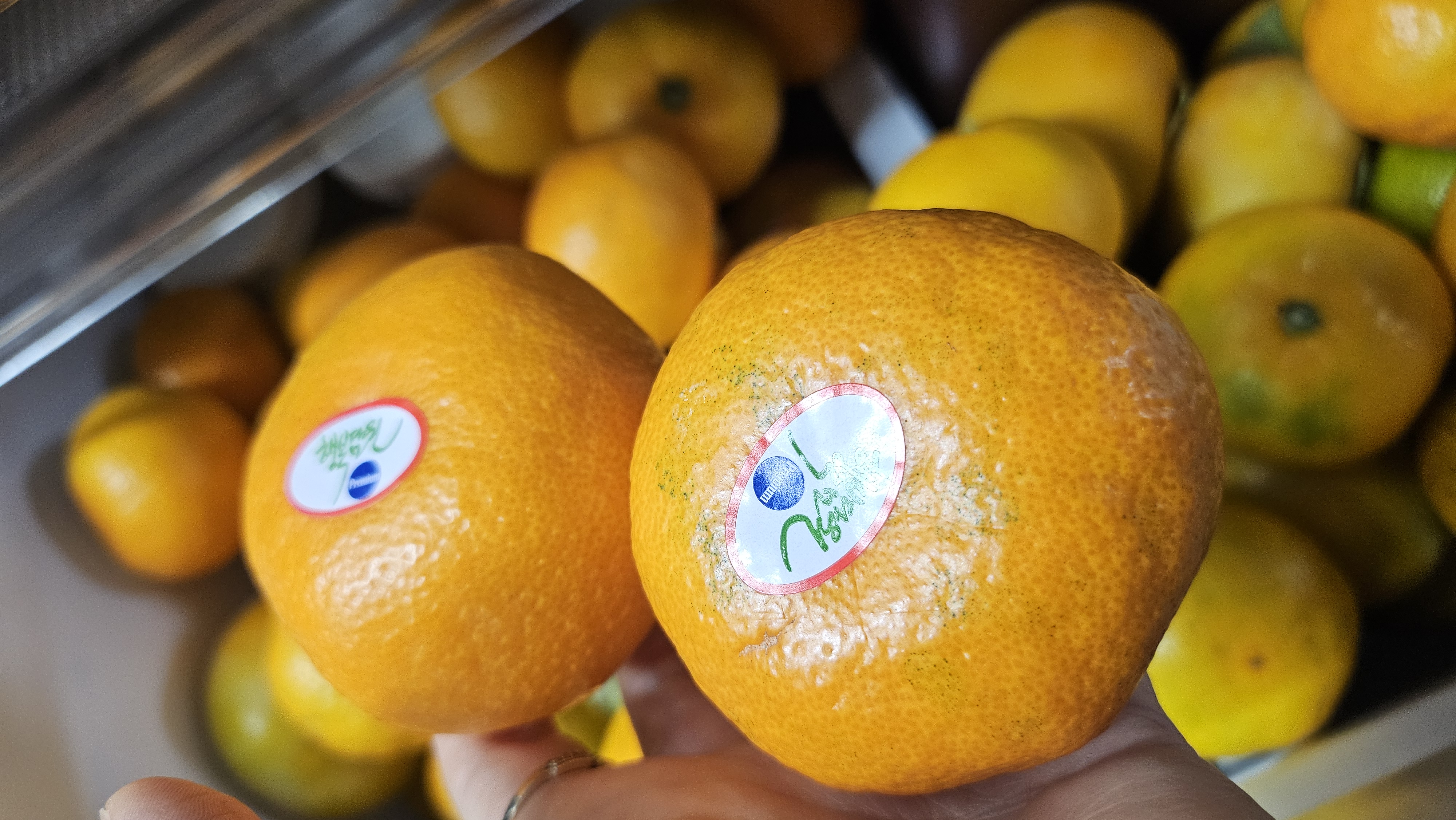 효돈 농협 프리미엄 감귤 (3kg/5kg)-1