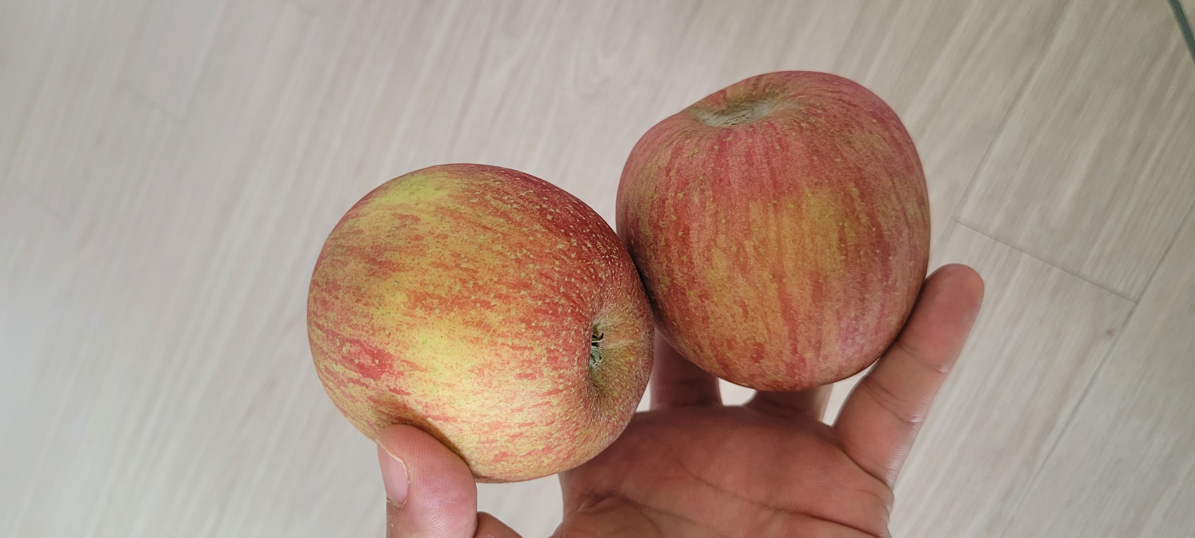 풍기농협 영주사과 3.5kg + 1kg 추가증정-1