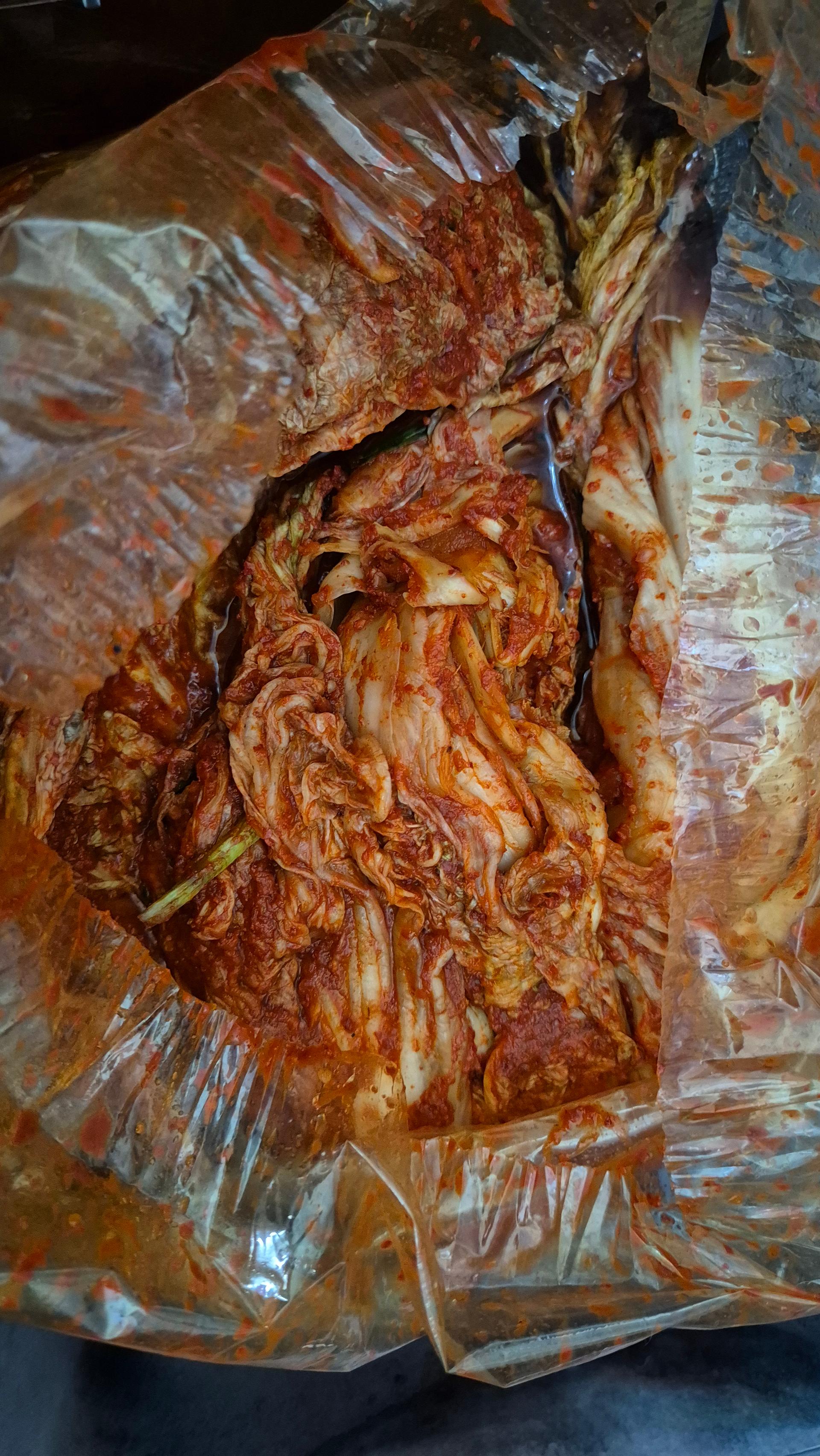 포토후기 이미지