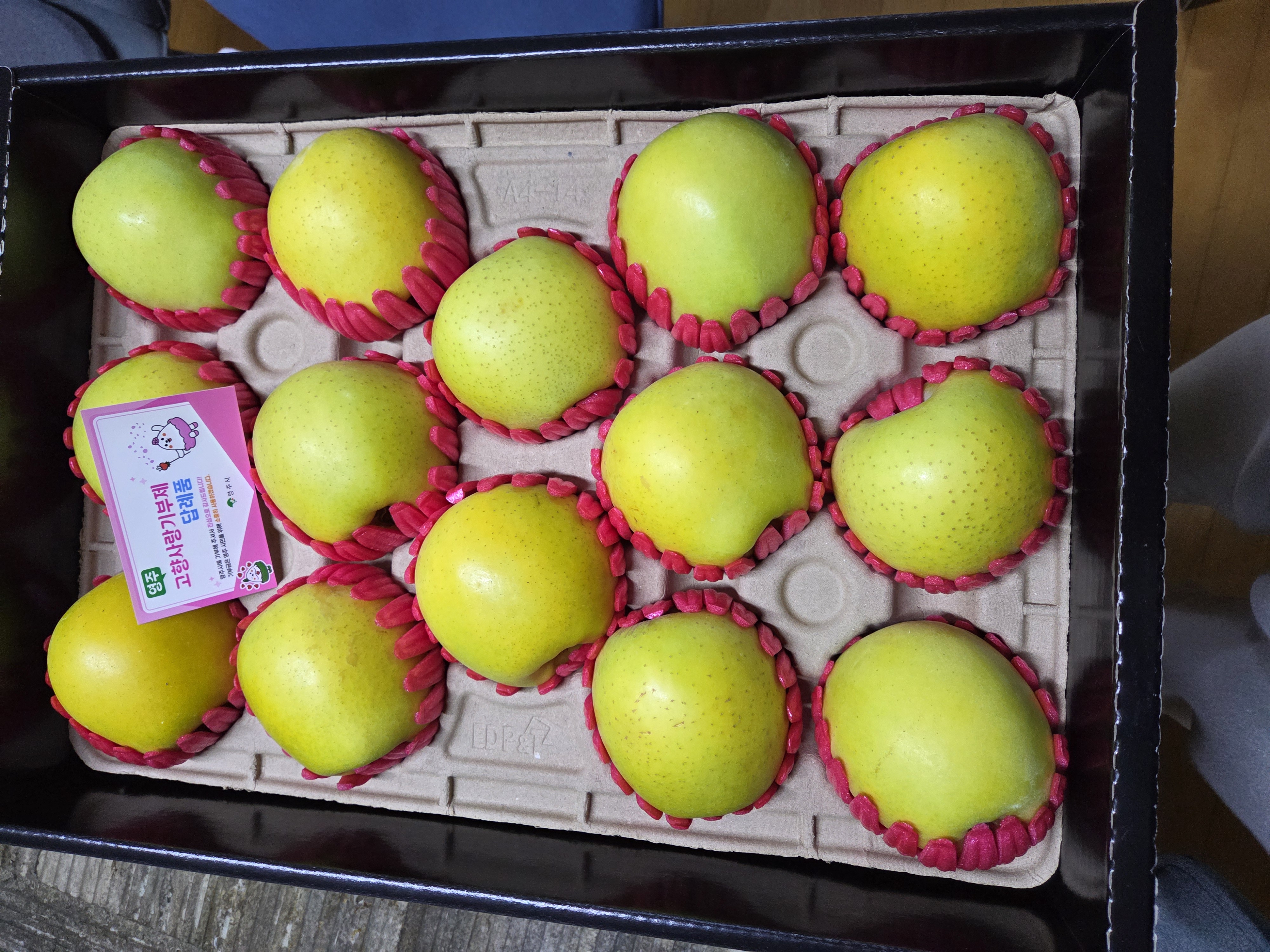 대경사과원예농협 영주사과 3.2kg 선물세트 (11입내)+1kg 추가증정-1