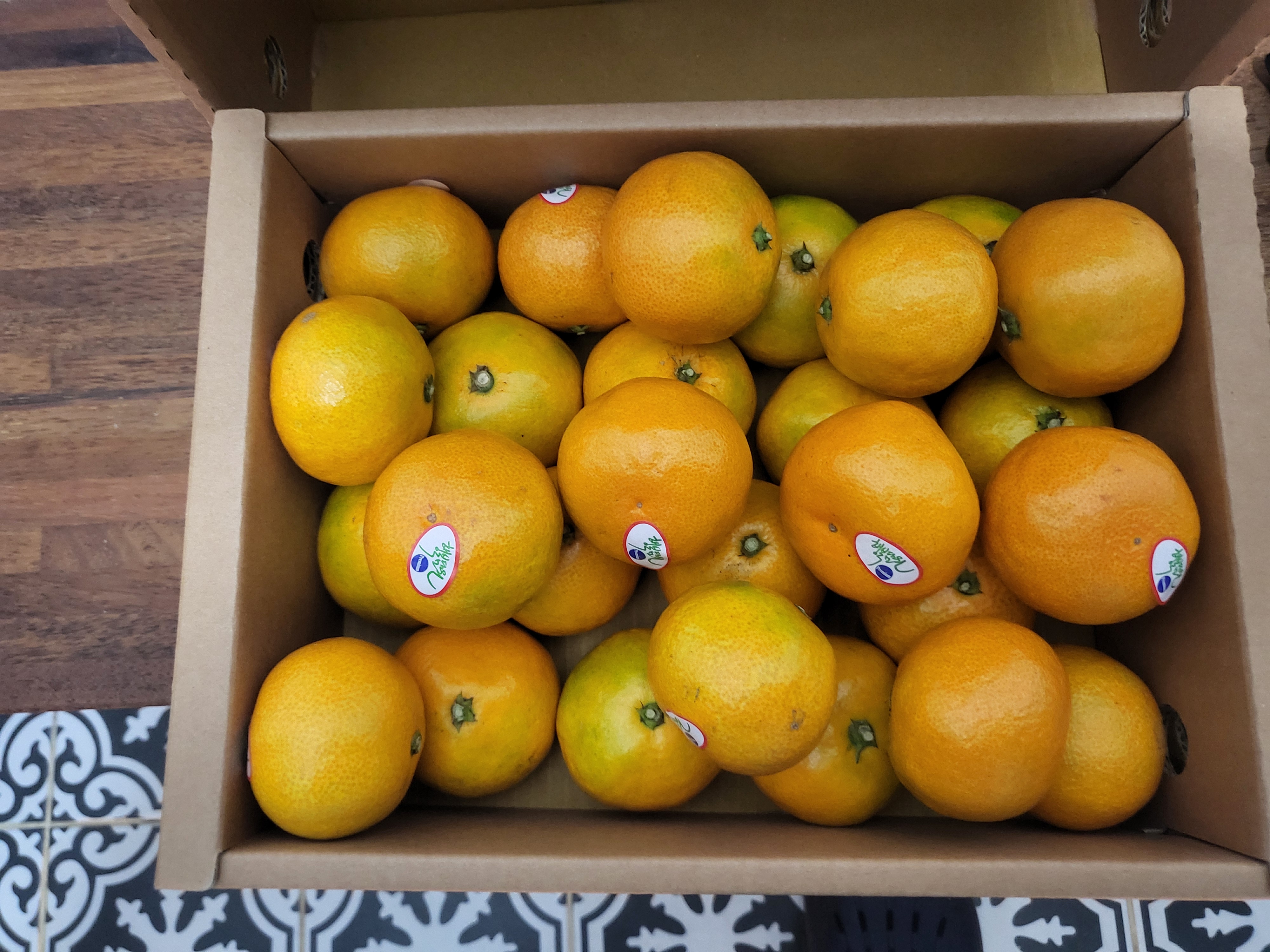 효돈 농협 프리미엄 감귤 (3kg/5kg)-1