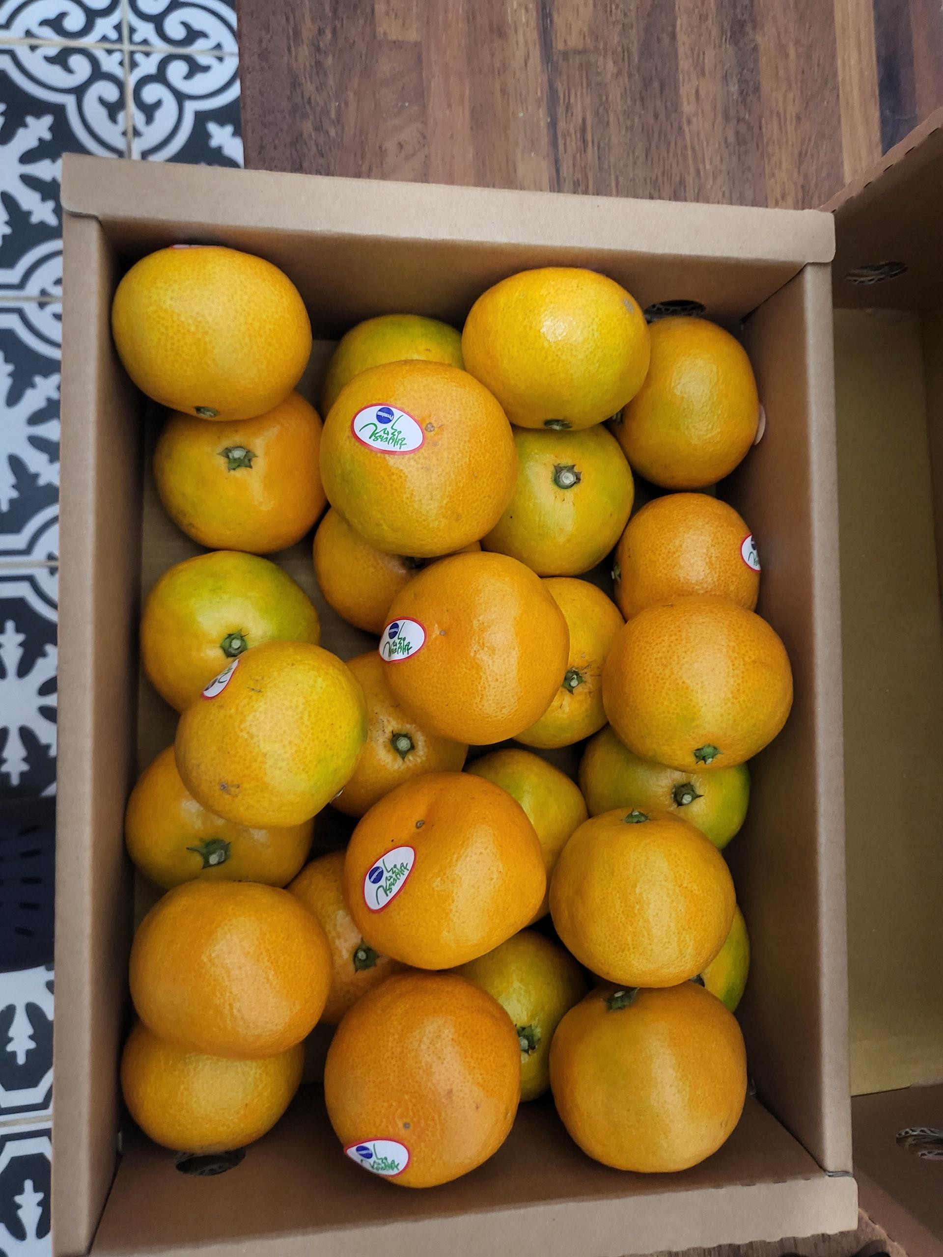 효돈 농협 프리미엄 감귤 (3kg/5kg) 이미지