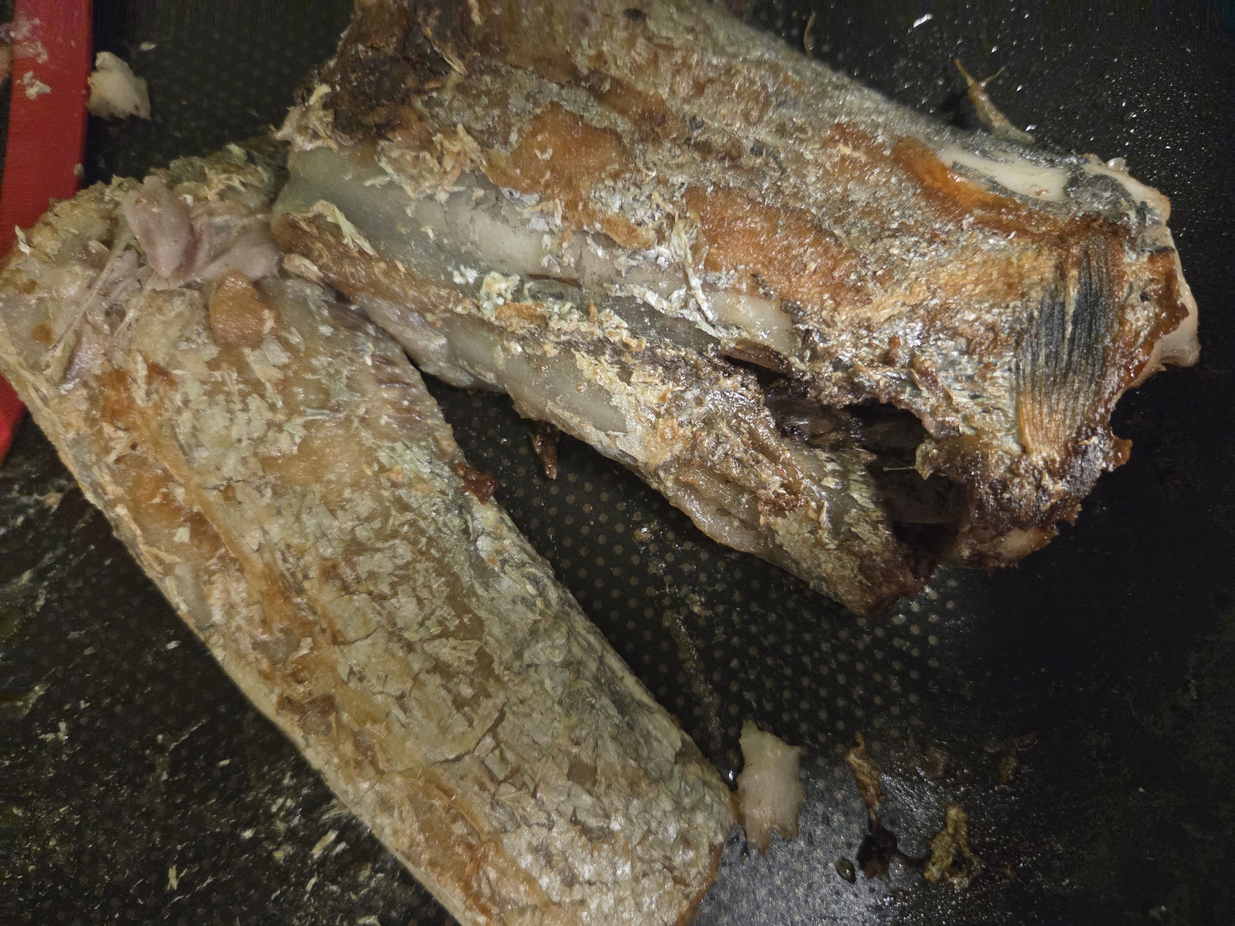 제주 명품 은갈치 선물세트 3~4마리-1