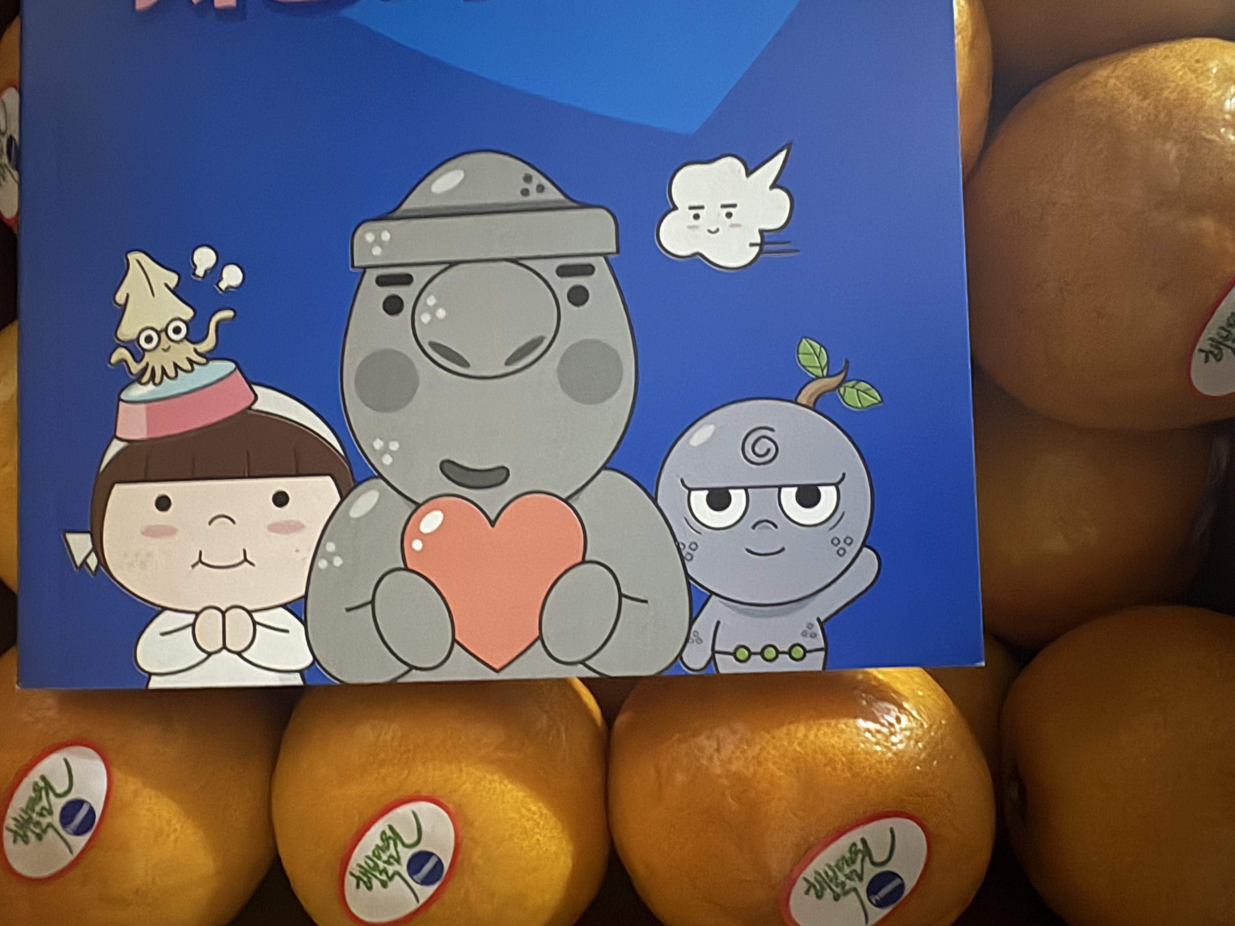 효돈 농협 프리미엄 감귤 (3kg/5kg)-1