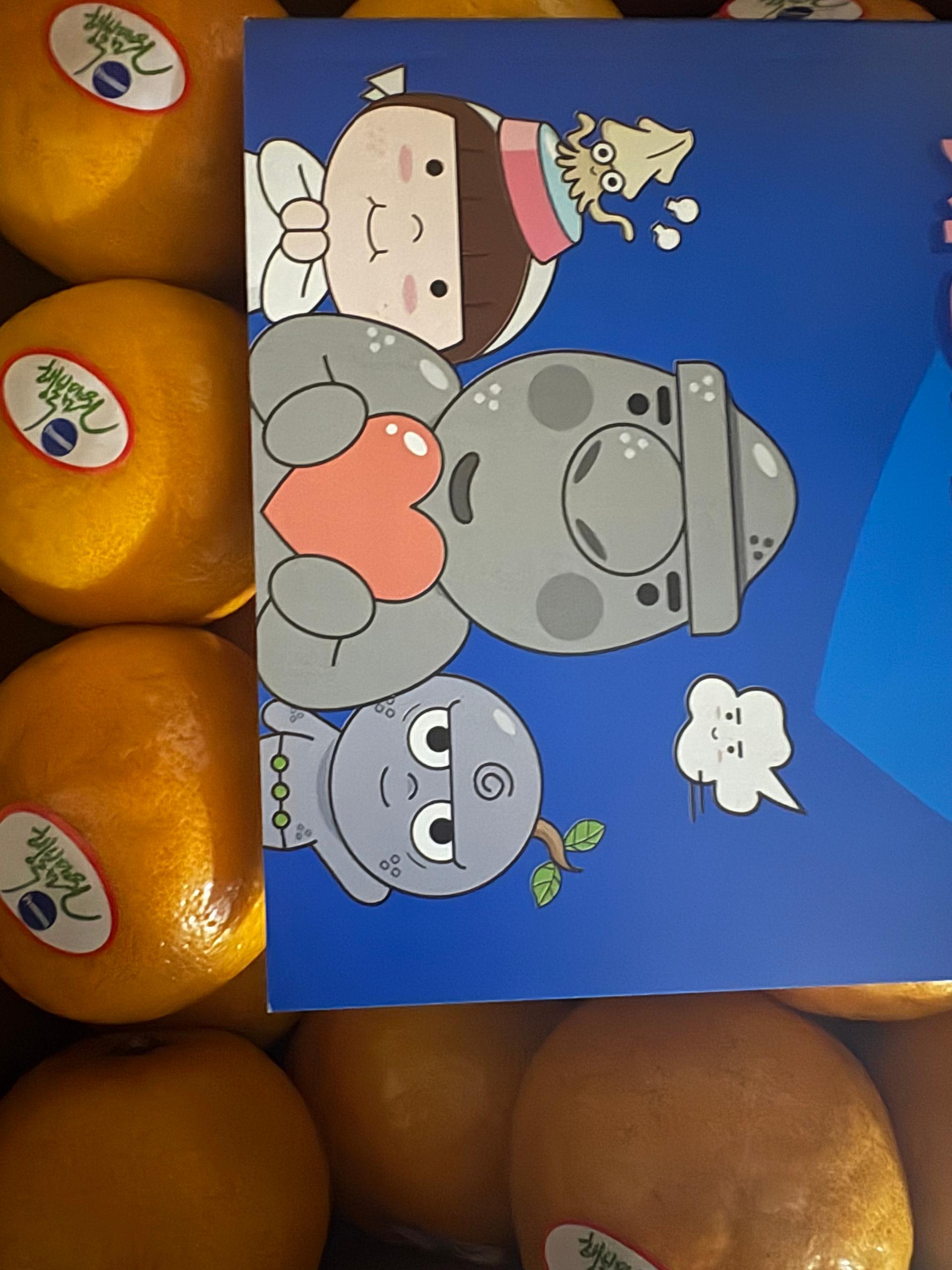 포토후기 이미지