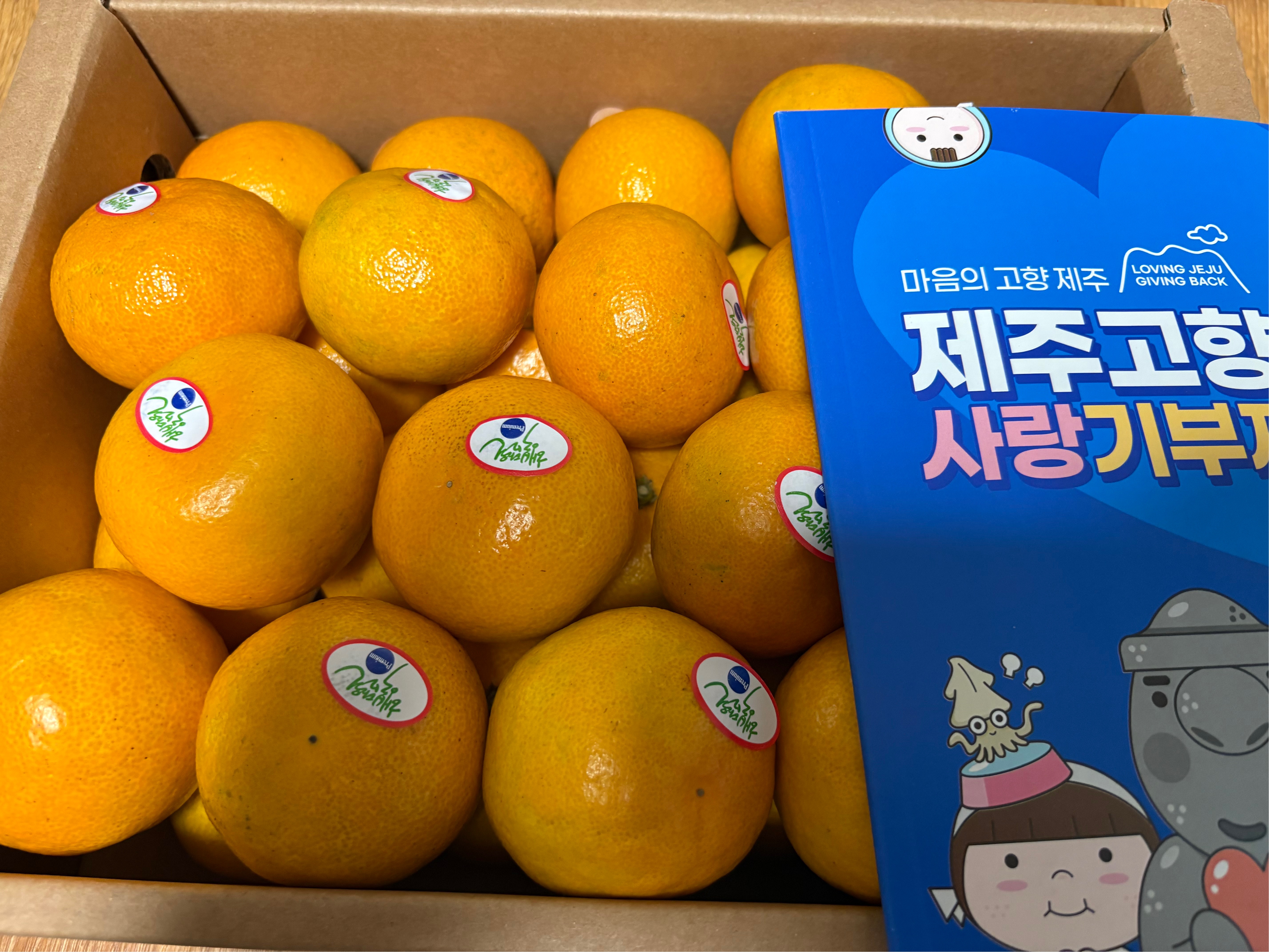 효돈 농협 프리미엄 감귤 (3kg/5kg)-1