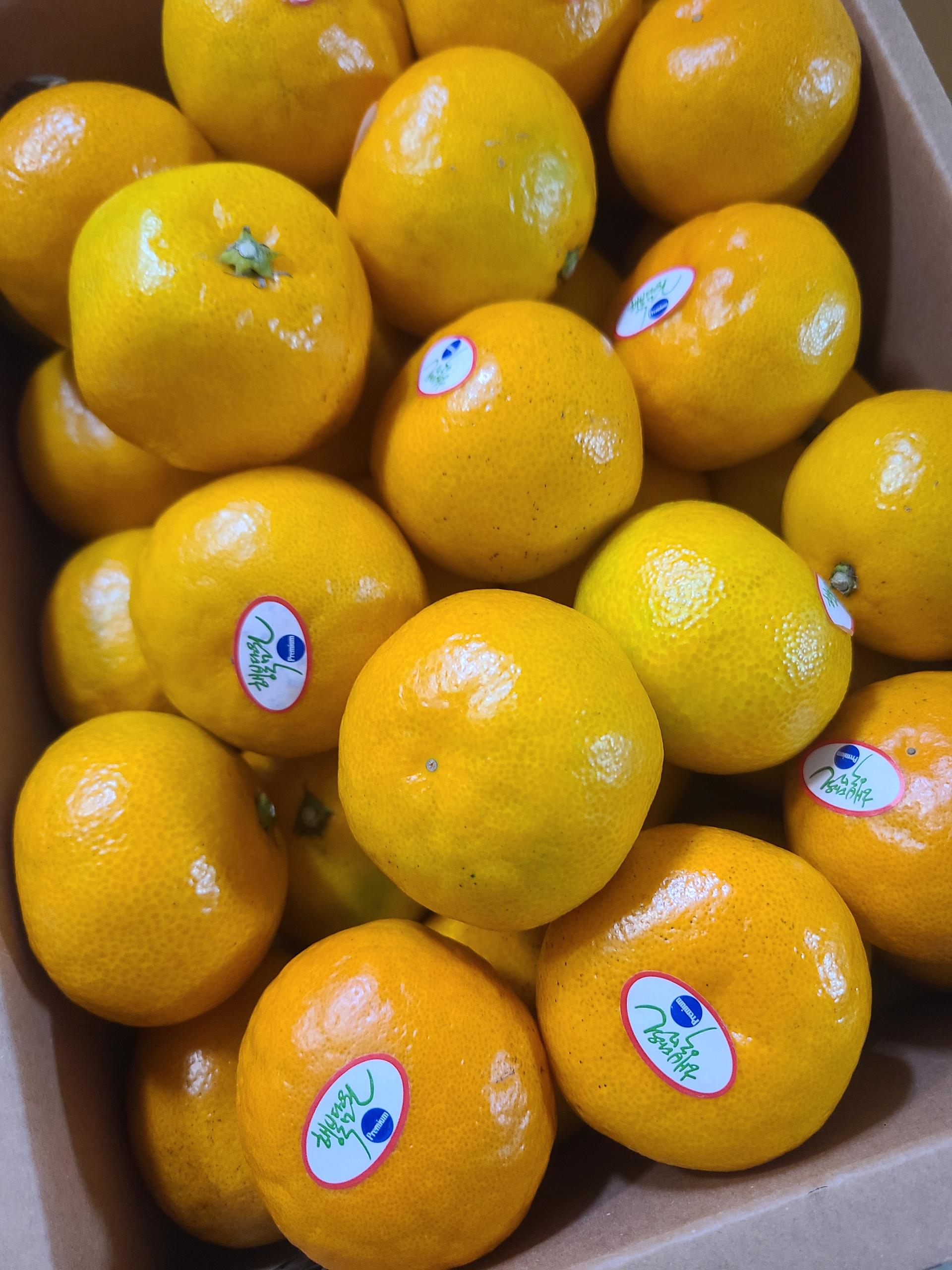 포토후기 이미지