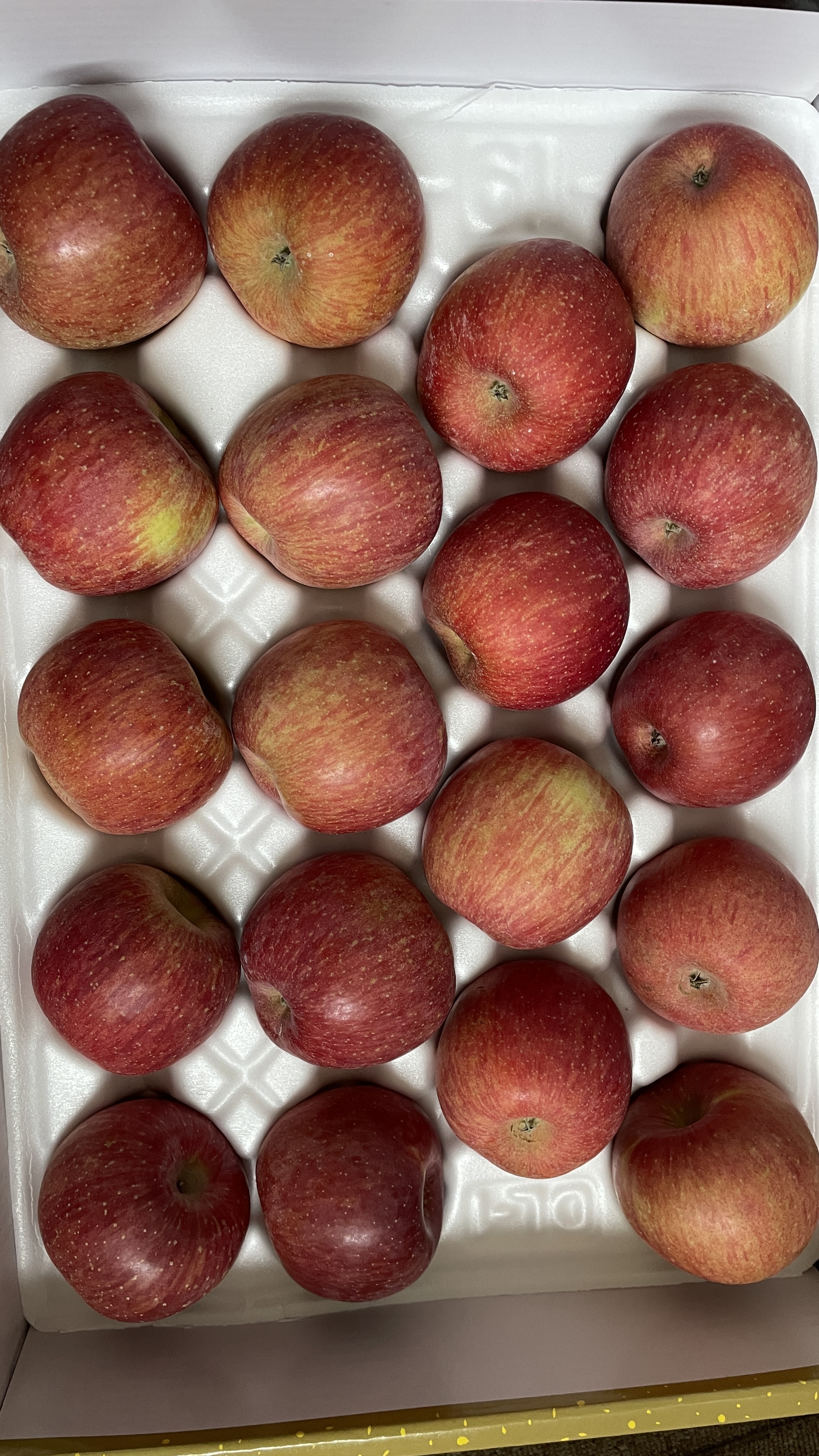 풍기농협 영주사과 3.5kg + 1kg 추가증정-1