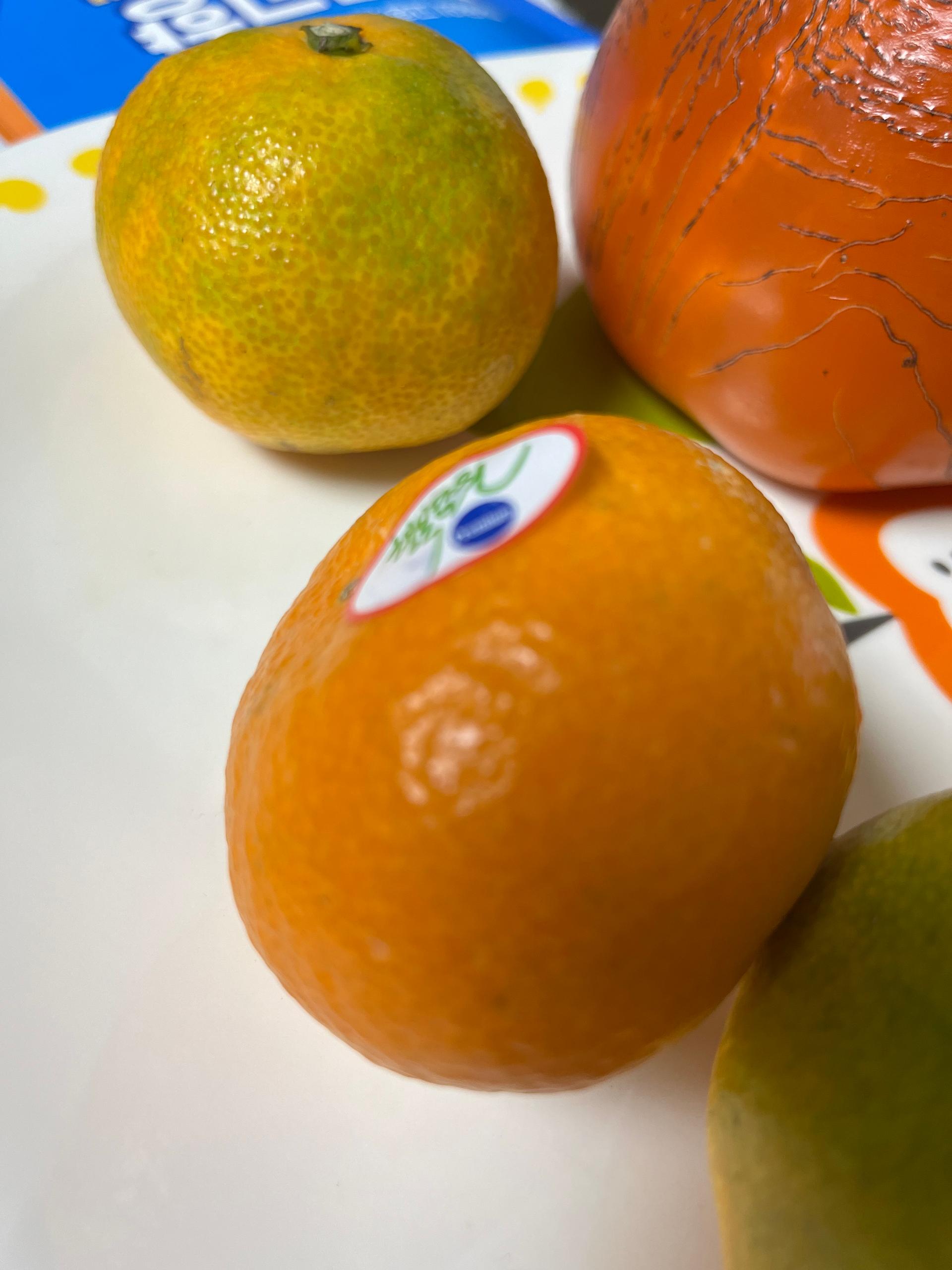 포토후기 이미지