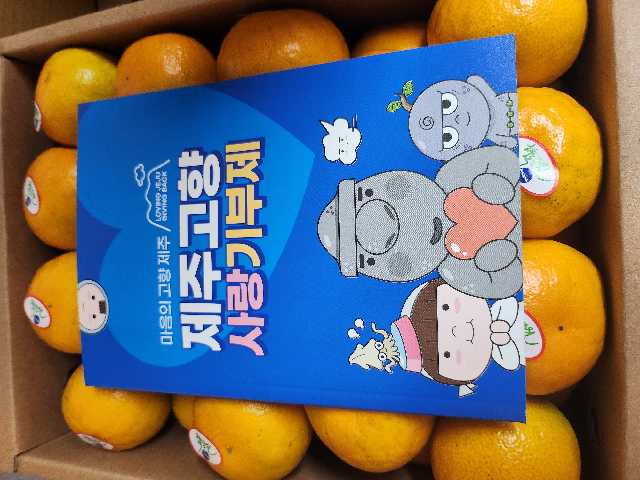 효돈 농협 프리미엄 감귤 (3kg/5kg)-1