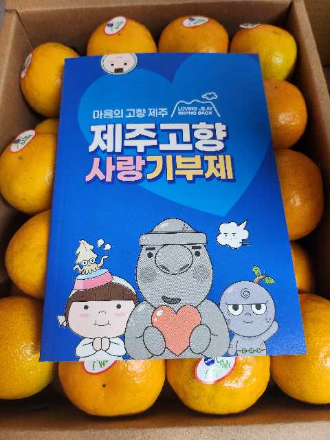 포토후기 이미지