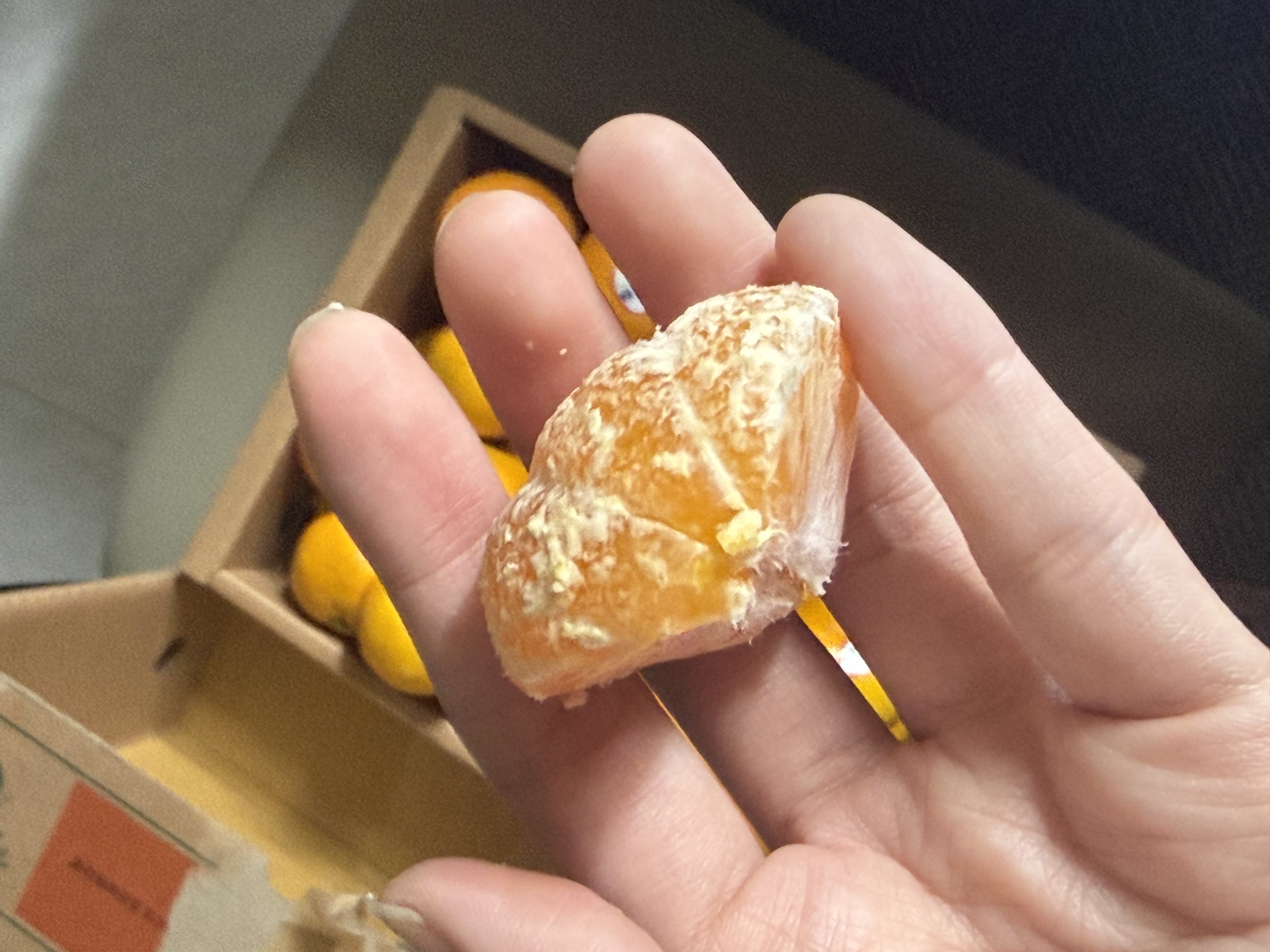 효돈 농협 프리미엄 감귤 (3kg/5kg)-2