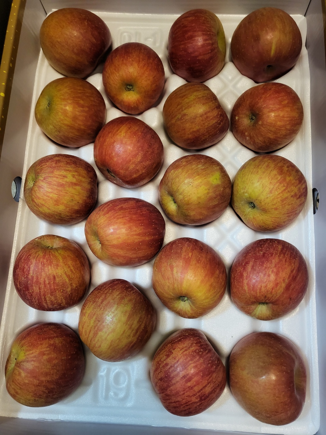 풍기농협 영주사과 3.5kg + 1kg 추가증정-1