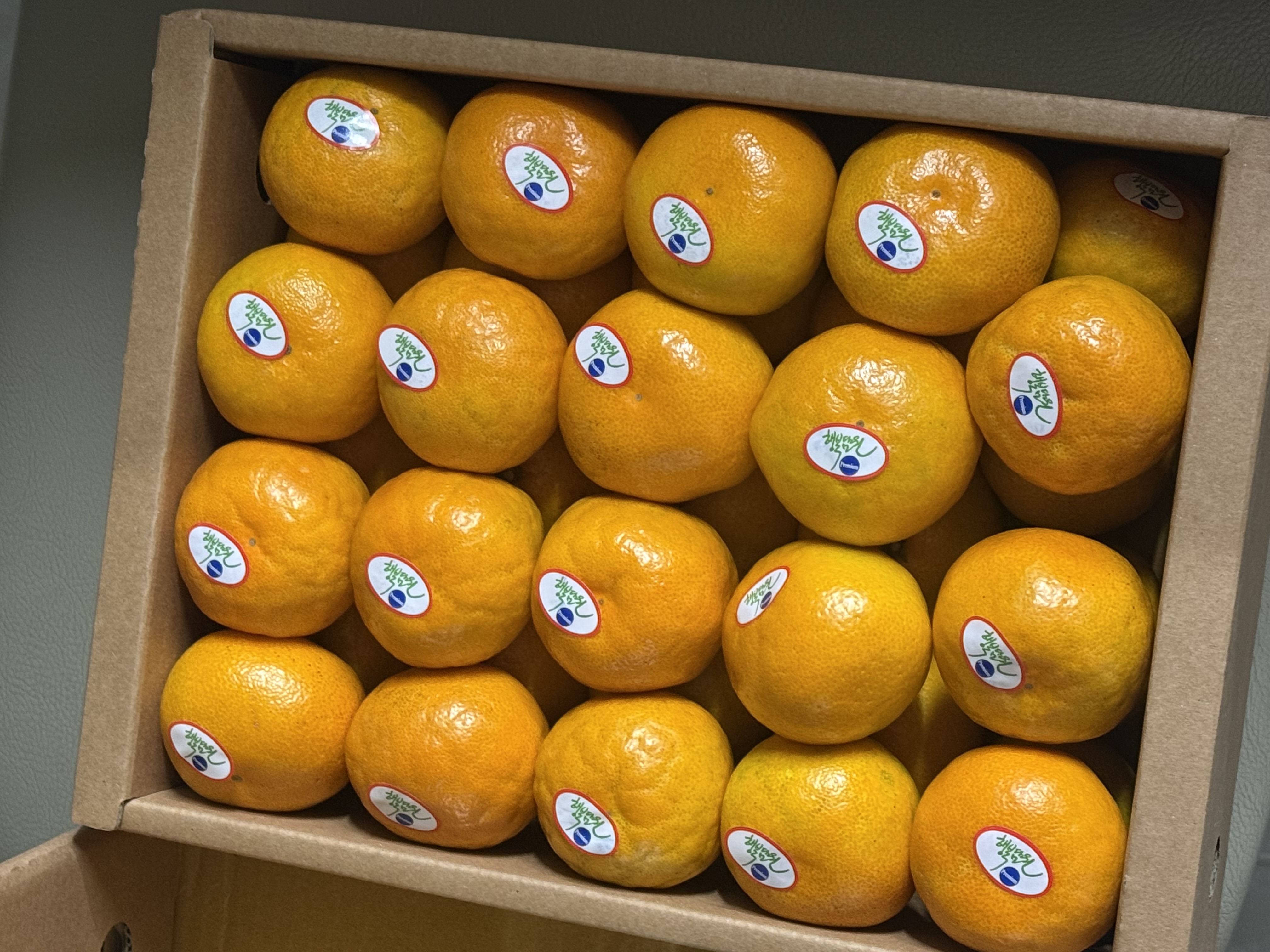 효돈 농협 프리미엄 감귤 (3kg/5kg)-1