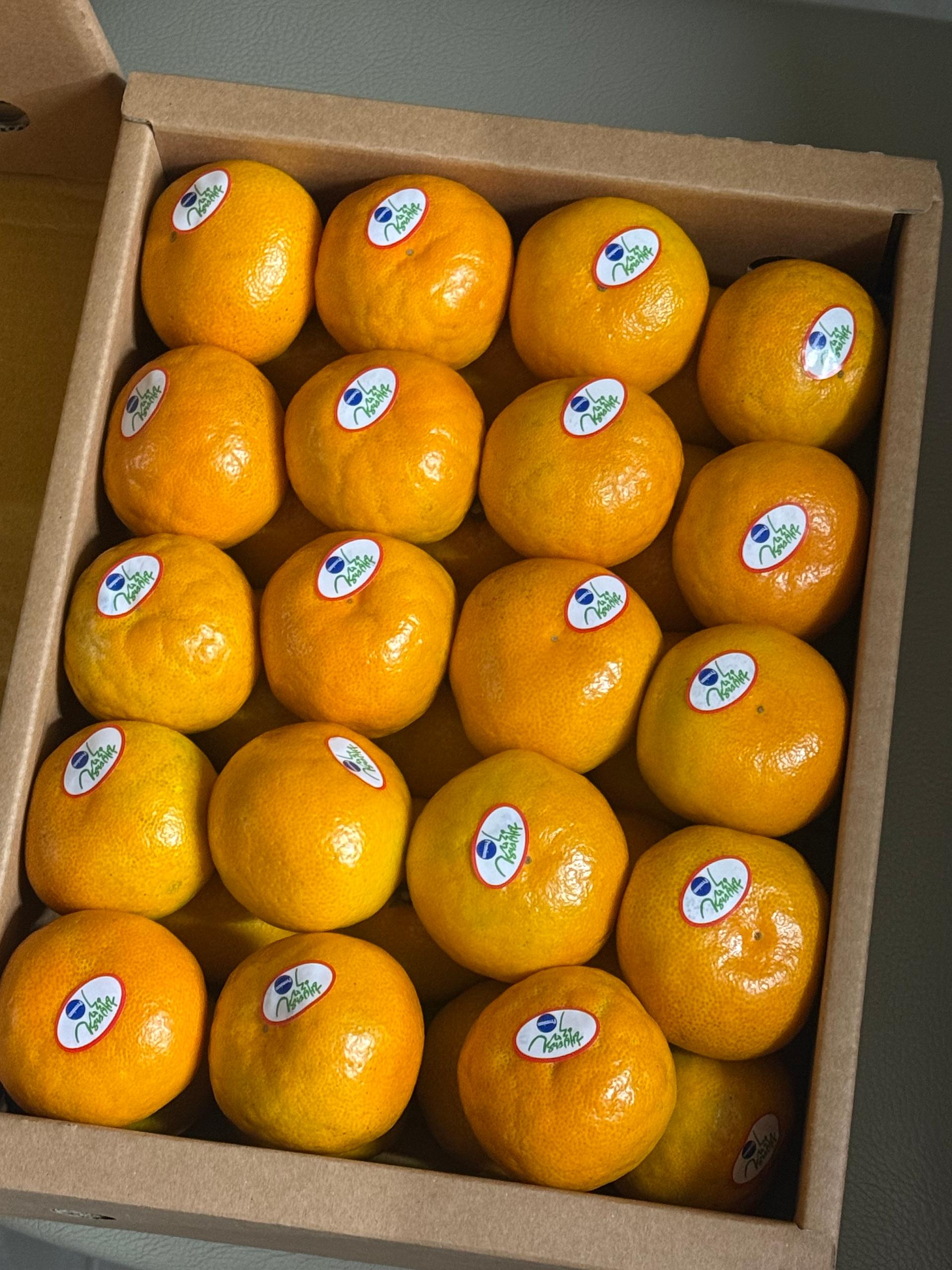 포토후기 이미지