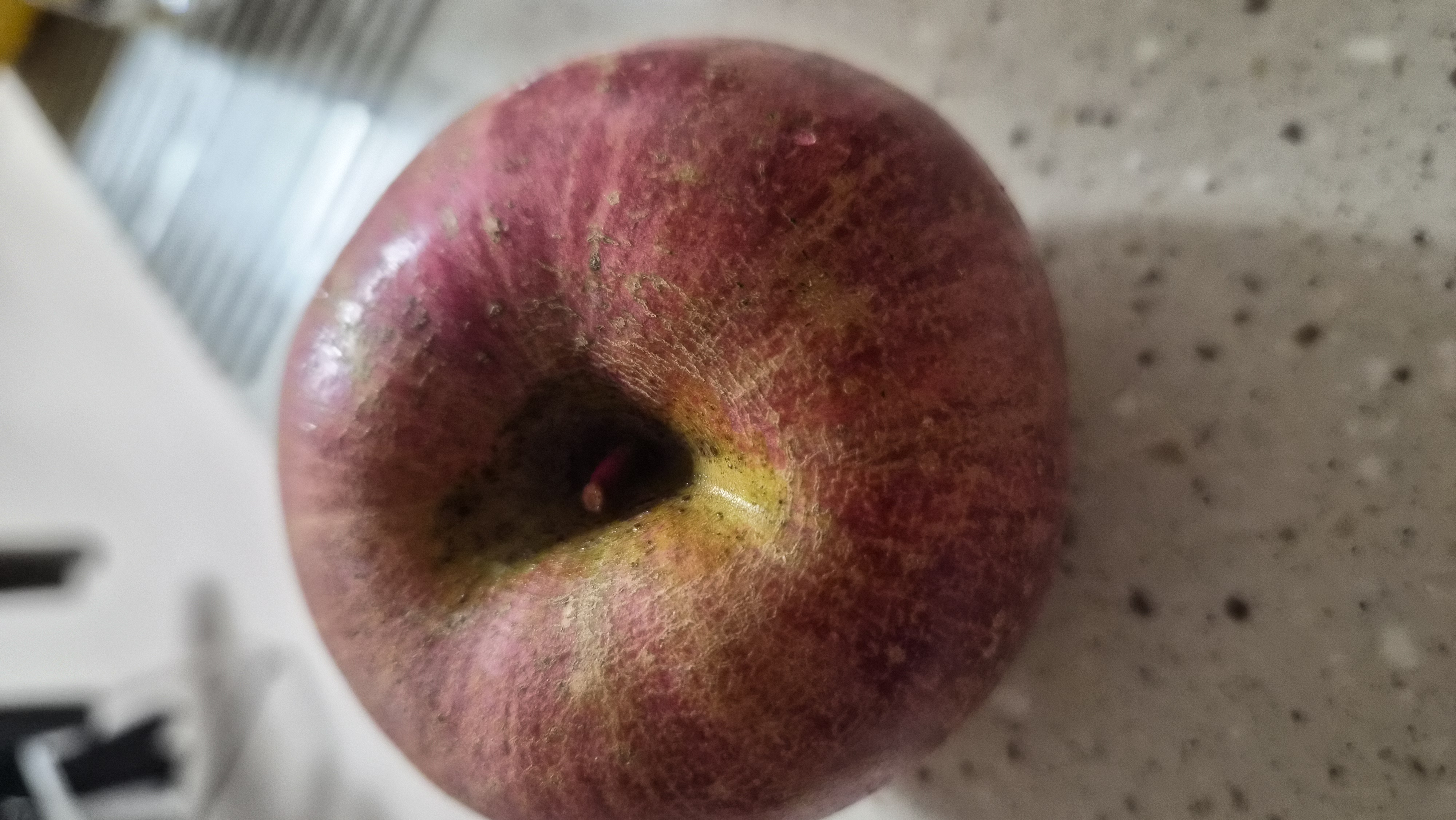 풍기농협 영주사과 3.5kg + 1kg 추가증정-1