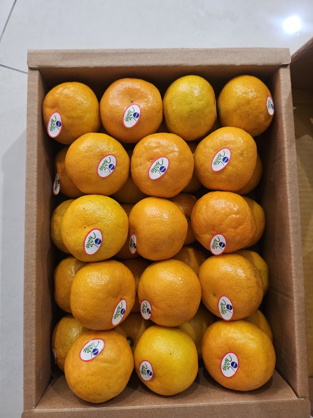 효돈 농협 프리미엄 감귤 (3kg/5kg)-1