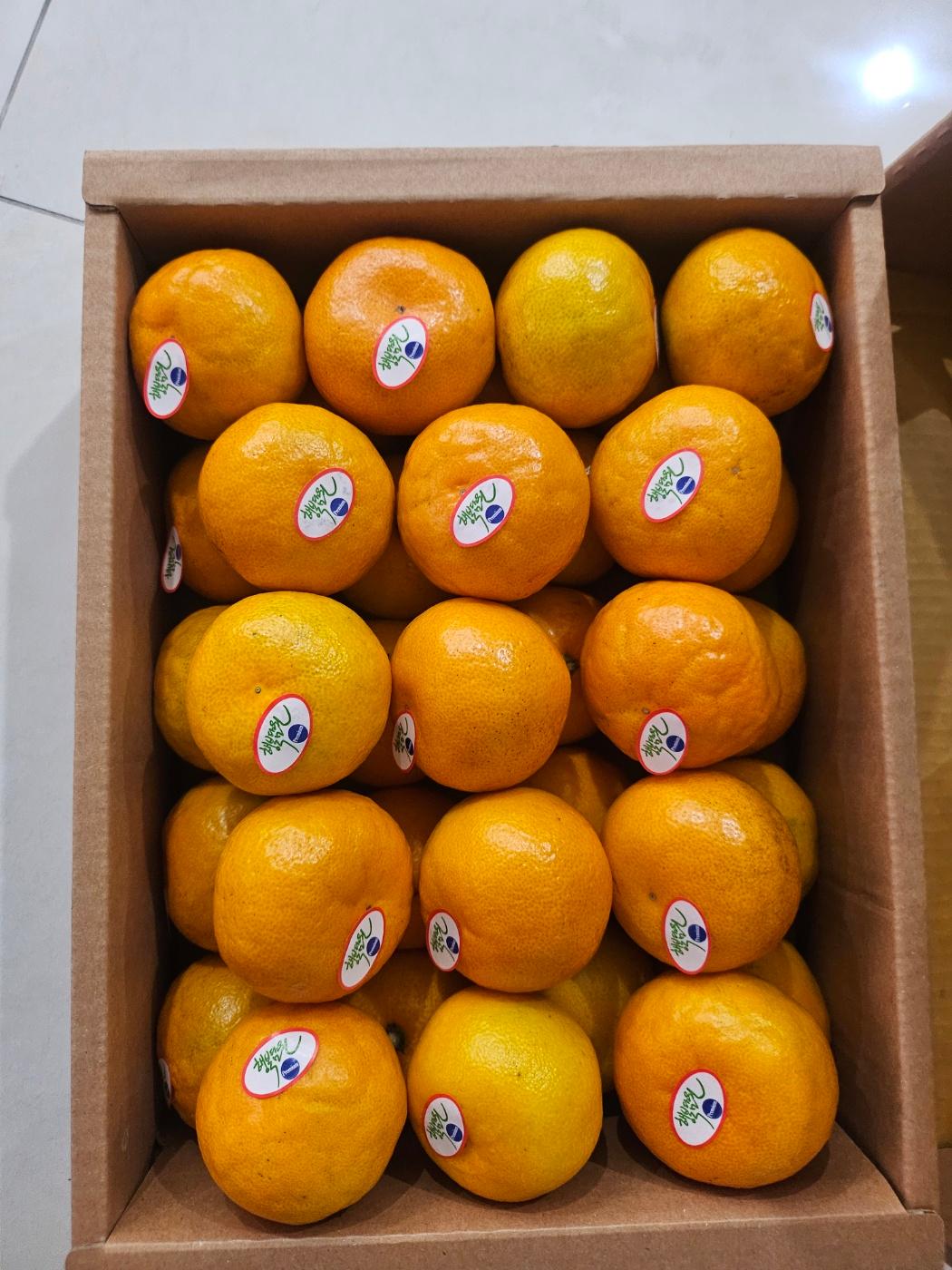 포토후기 이미지