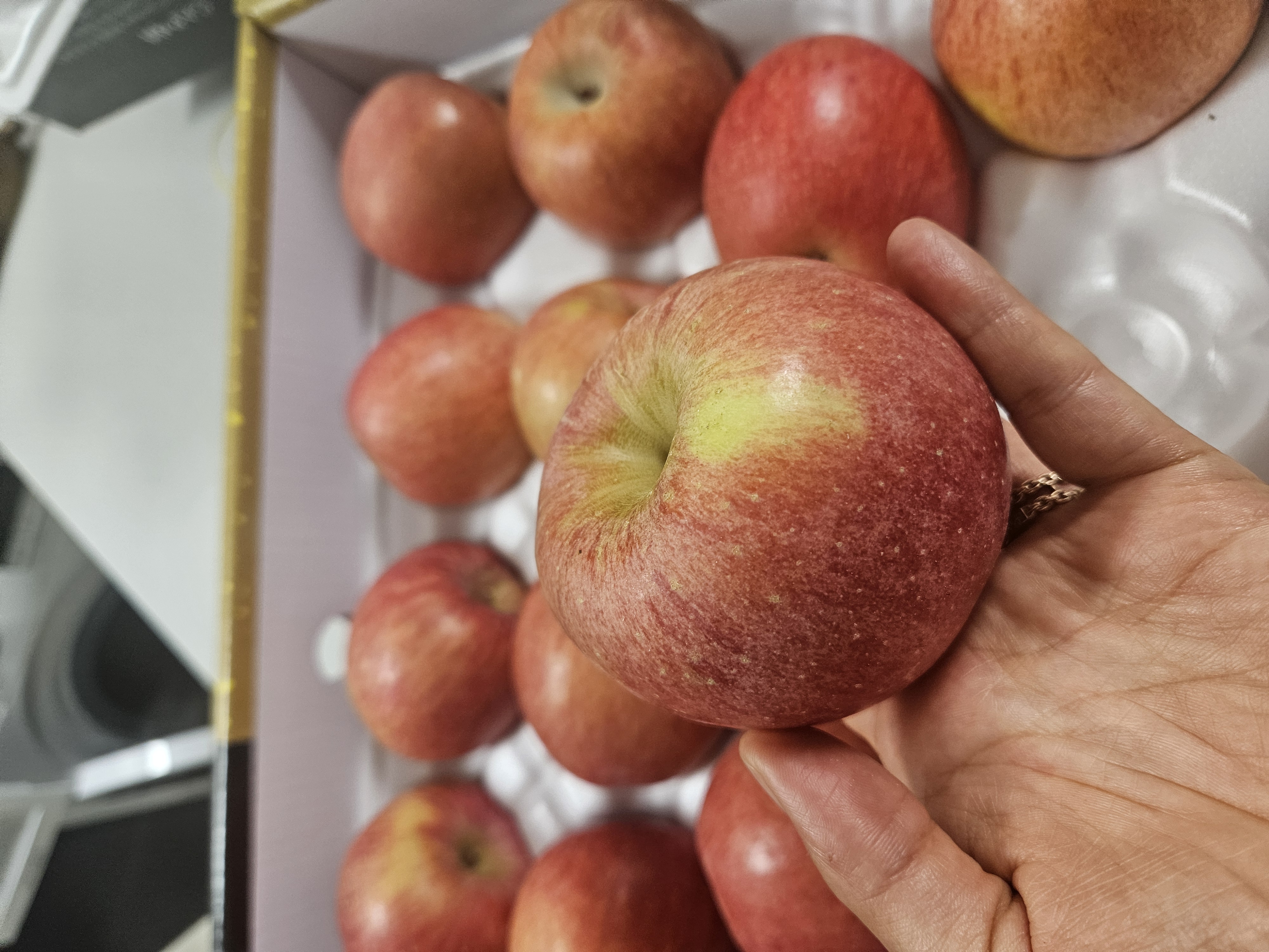 풍기농협 영주사과 3.5kg + 1kg 추가증정-3