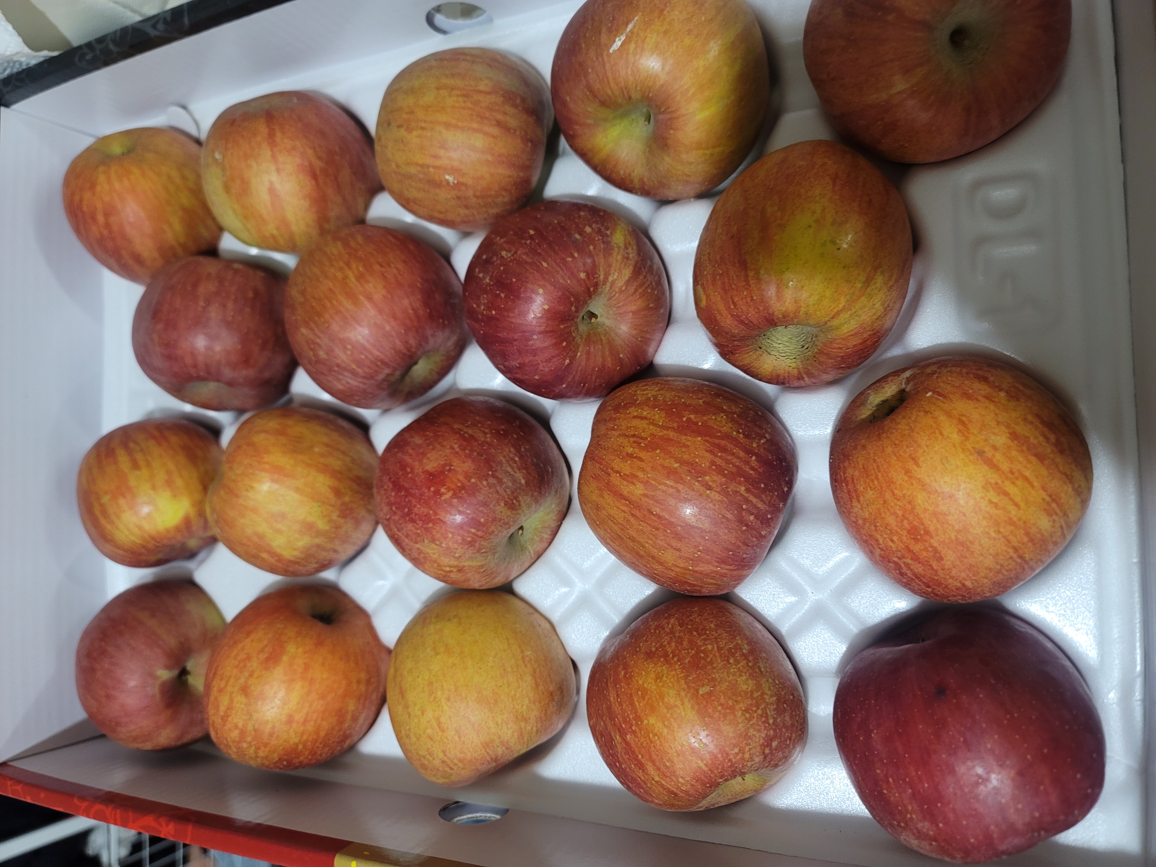 풍기농협 영주사과 3.5kg + 1kg 추가증정-1