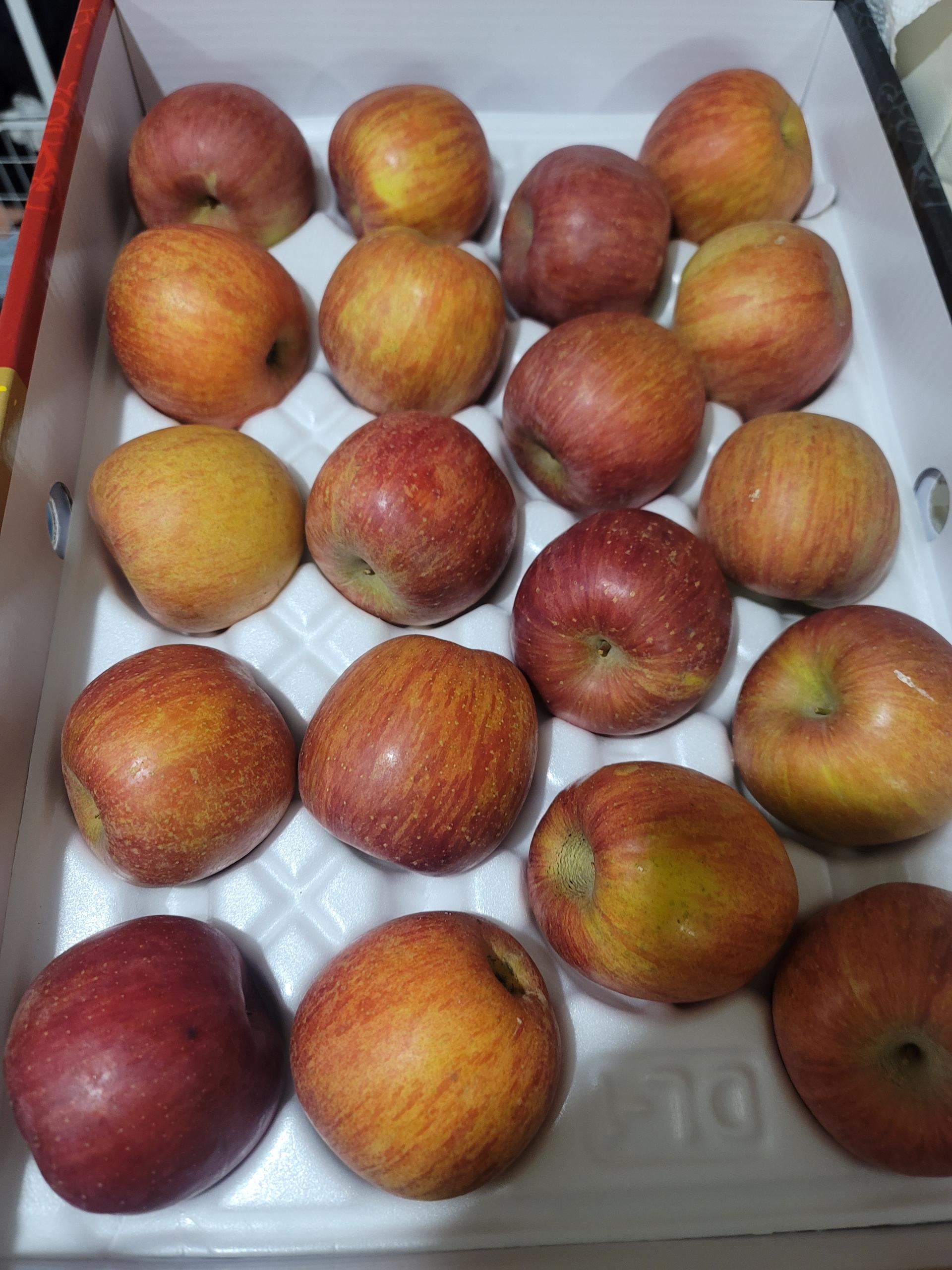 포토후기 이미지