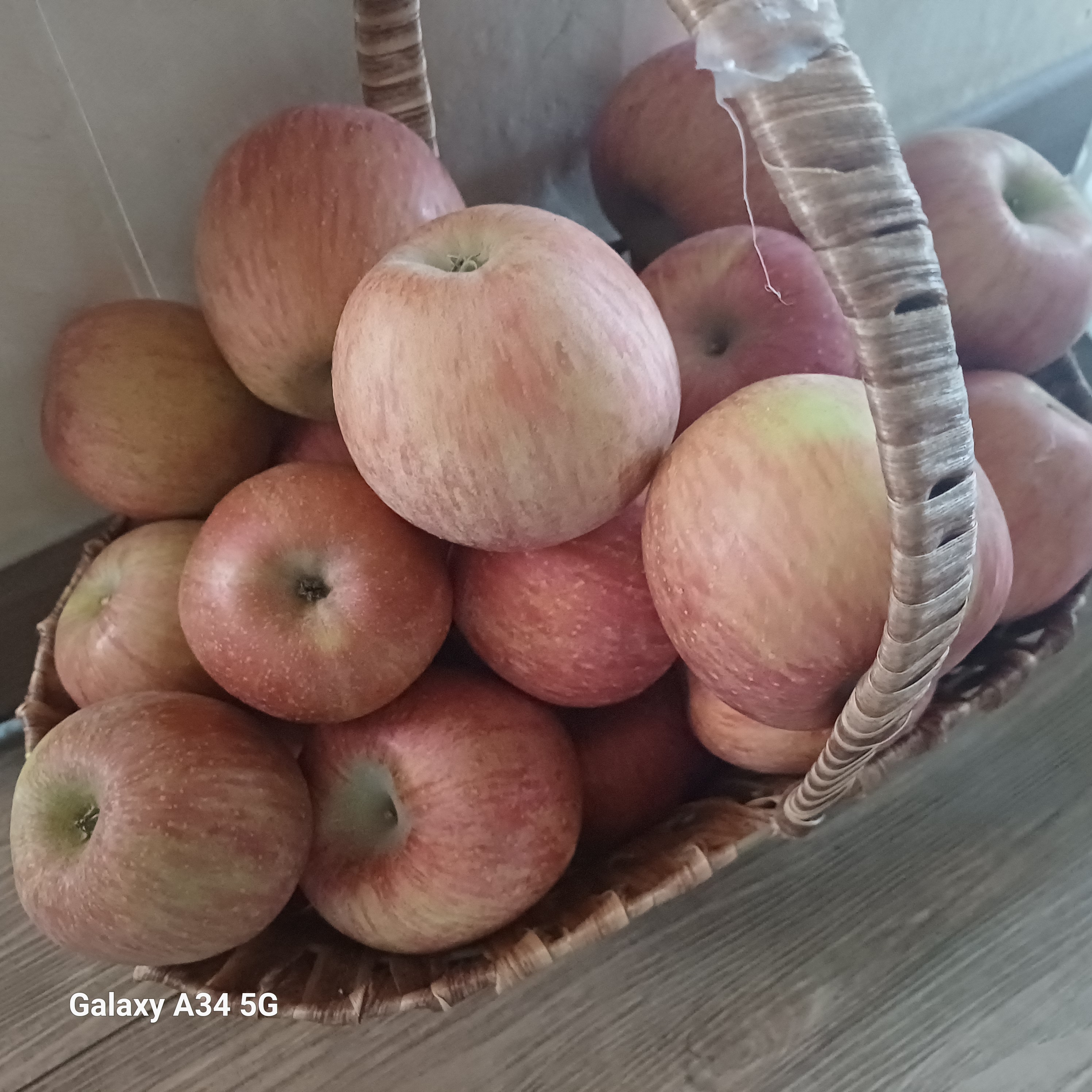 풍기농협 영주사과 3.5kg + 1kg 추가증정-1