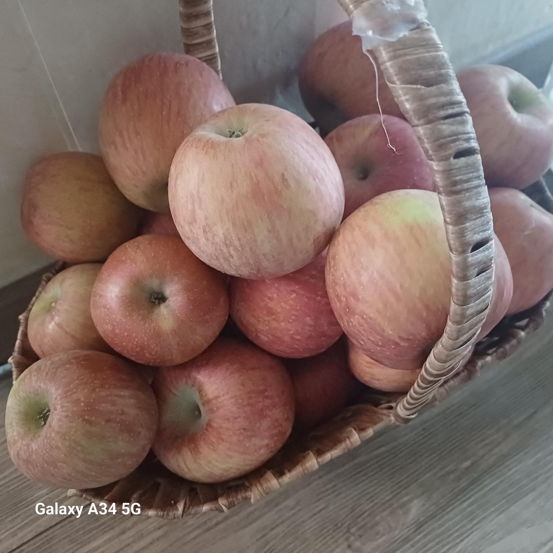 포토후기 이미지