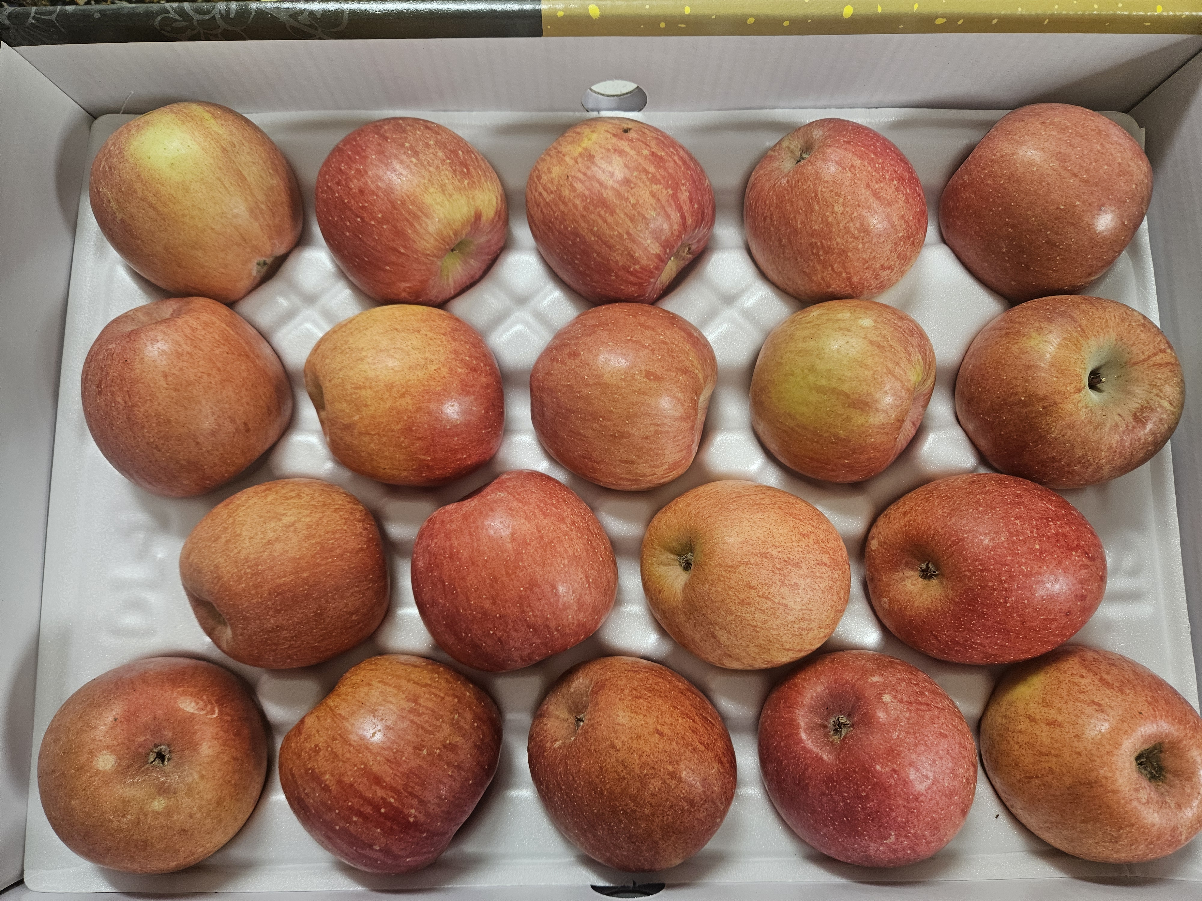 풍기농협 영주사과 3.5kg + 1kg 추가증정-2