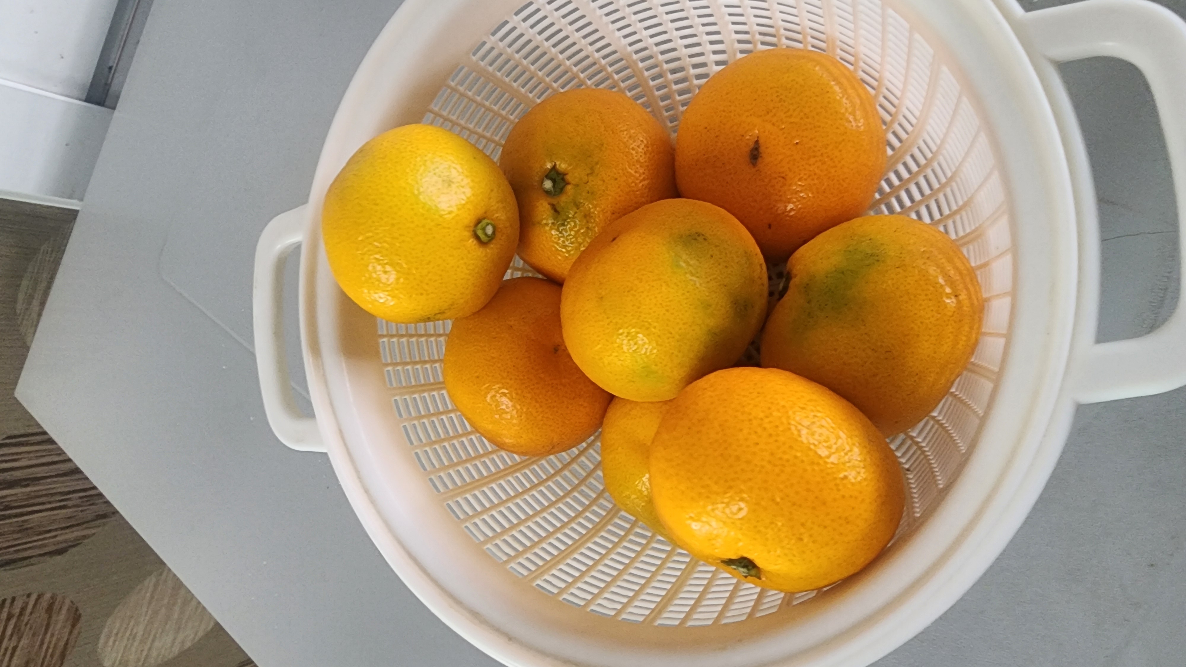 효돈 농협 프리미엄 감귤 (3kg/5kg)-1