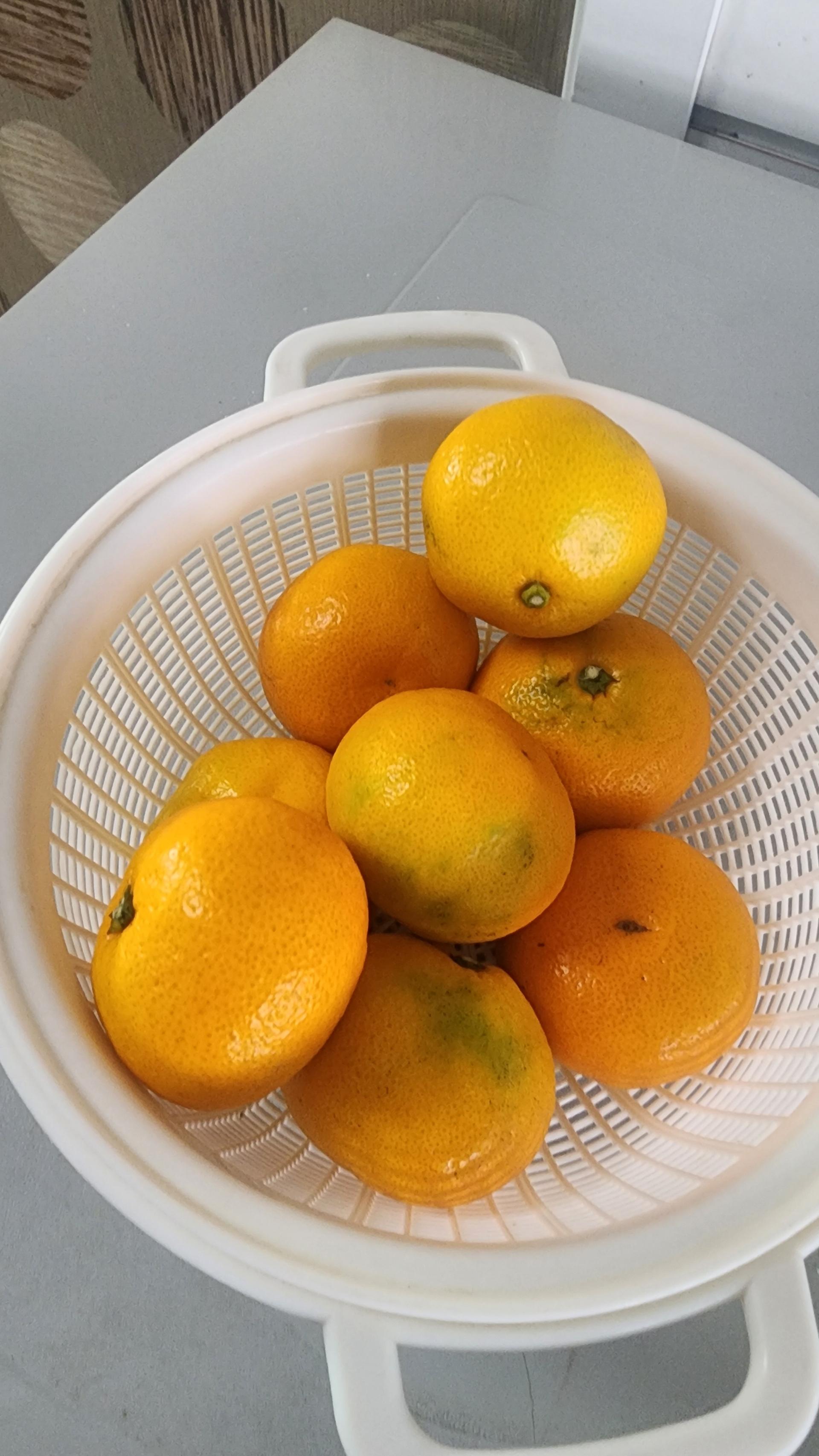 포토후기 이미지