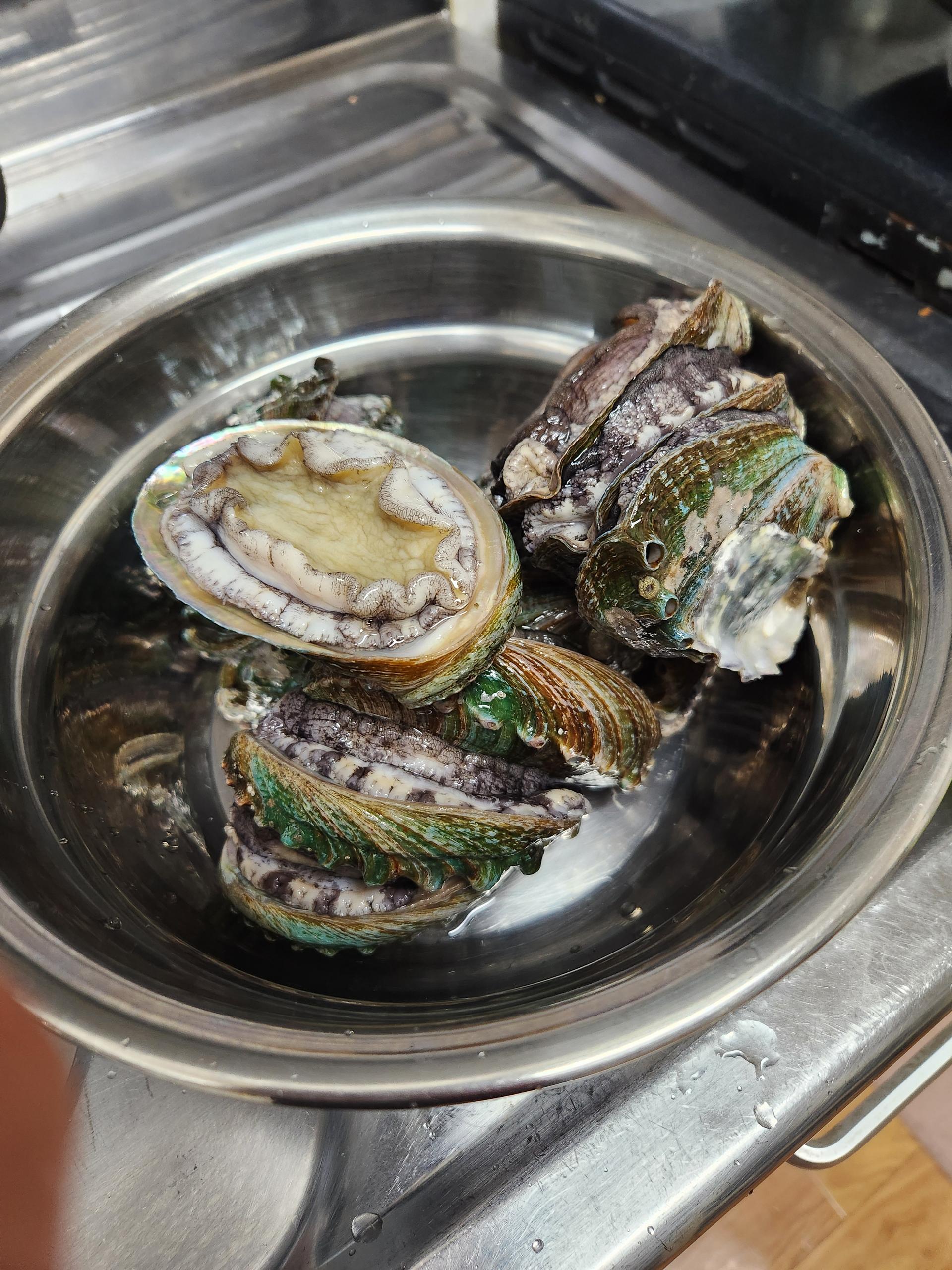 활전복 1kg (10~12미) + 1마리 추가