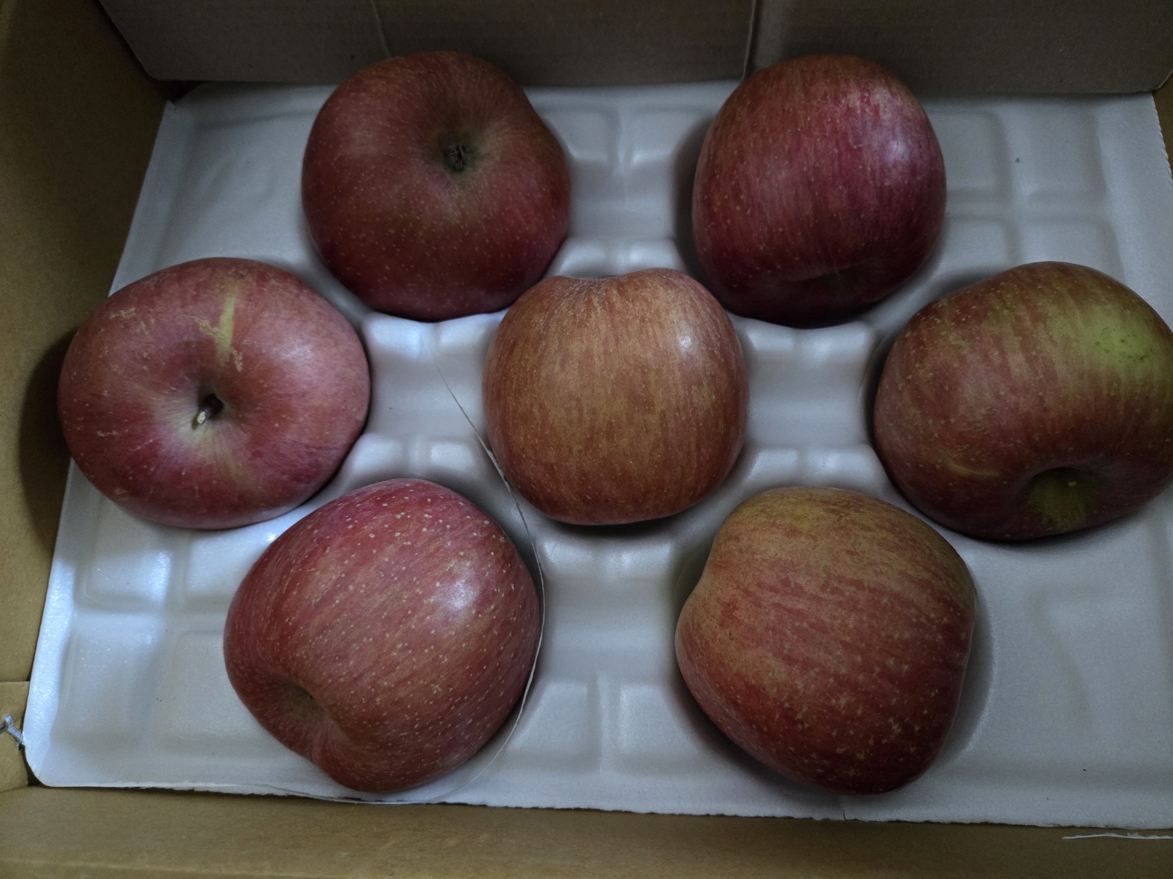 풍기농협 영주사과 3.5kg + 1kg 추가증정-3