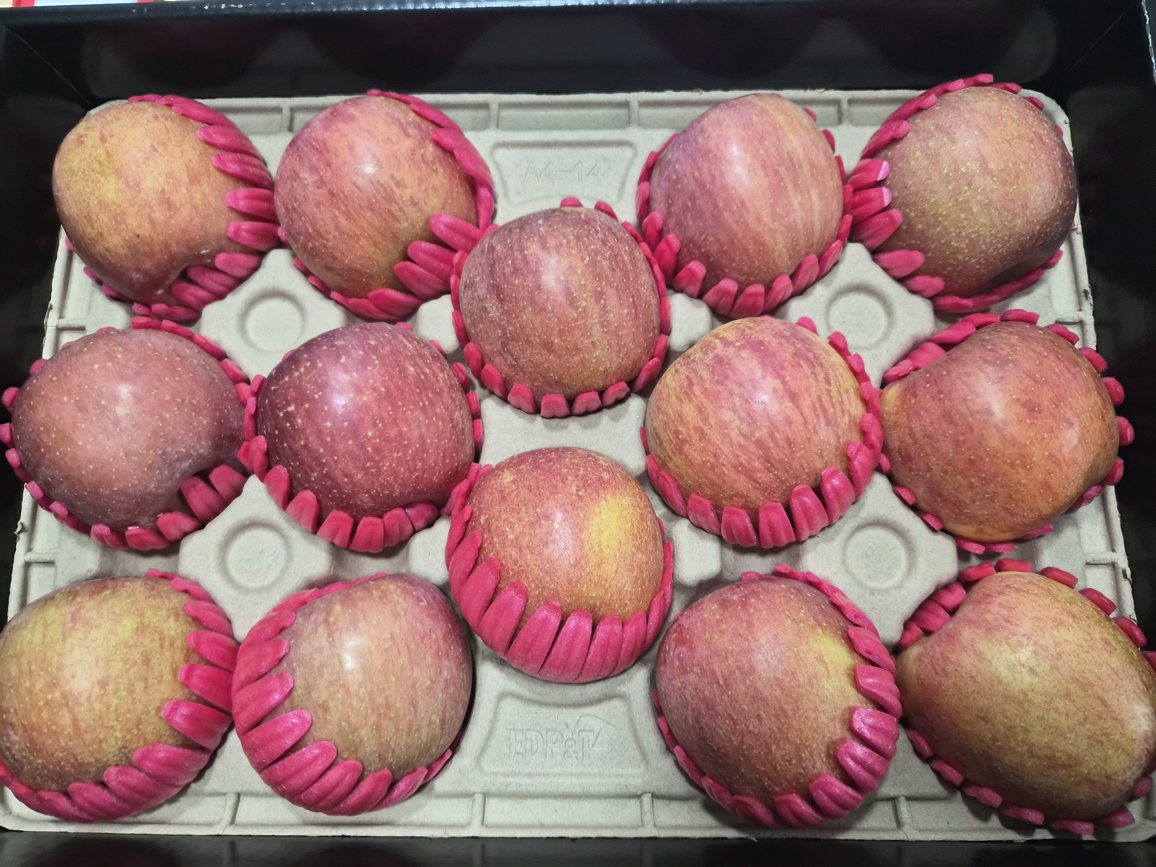 대경사과원예농협 영주사과 3.2kg 선물세트 (11입내)+1kg 추가증정-2