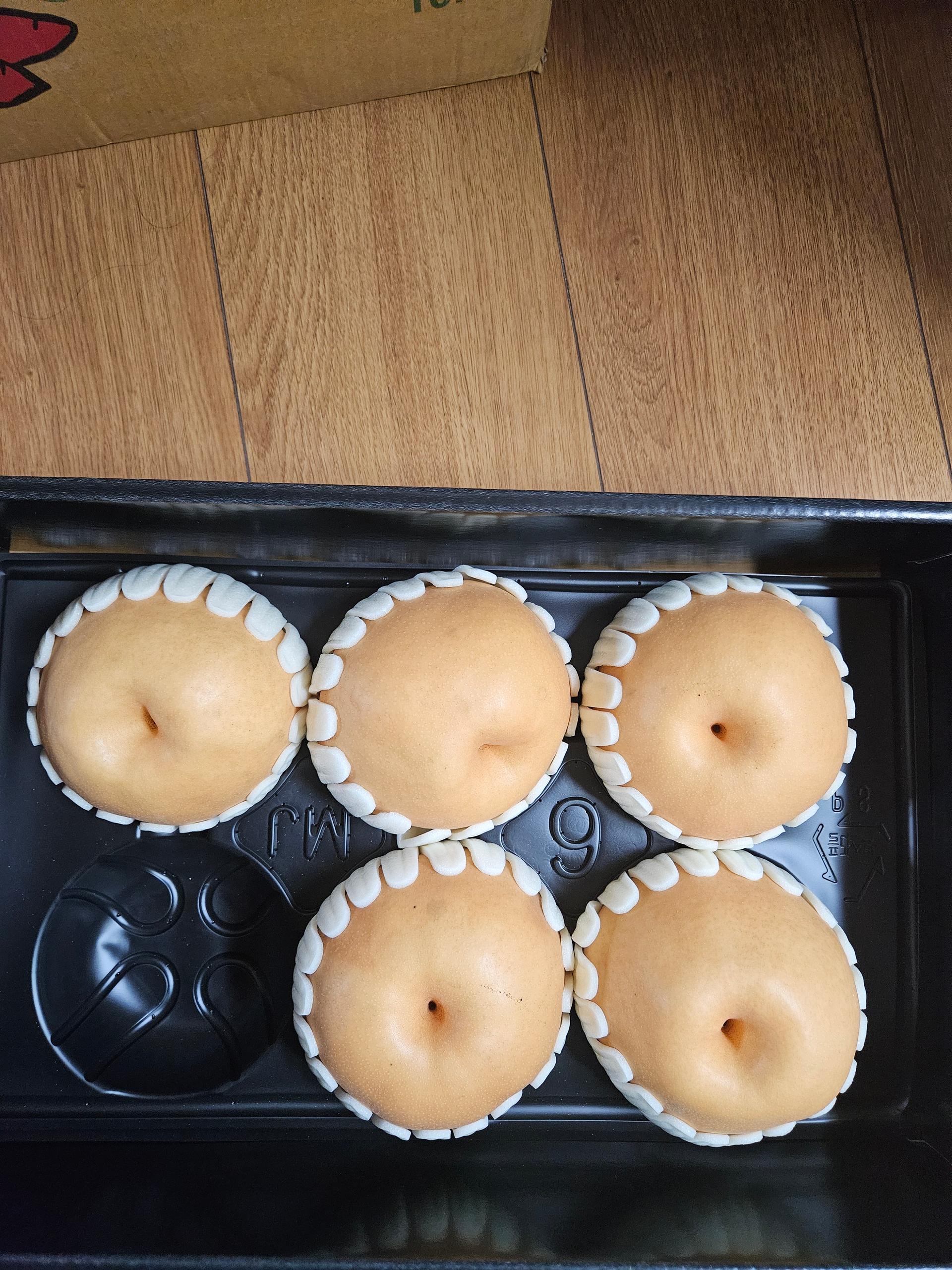 포토후기 이미지