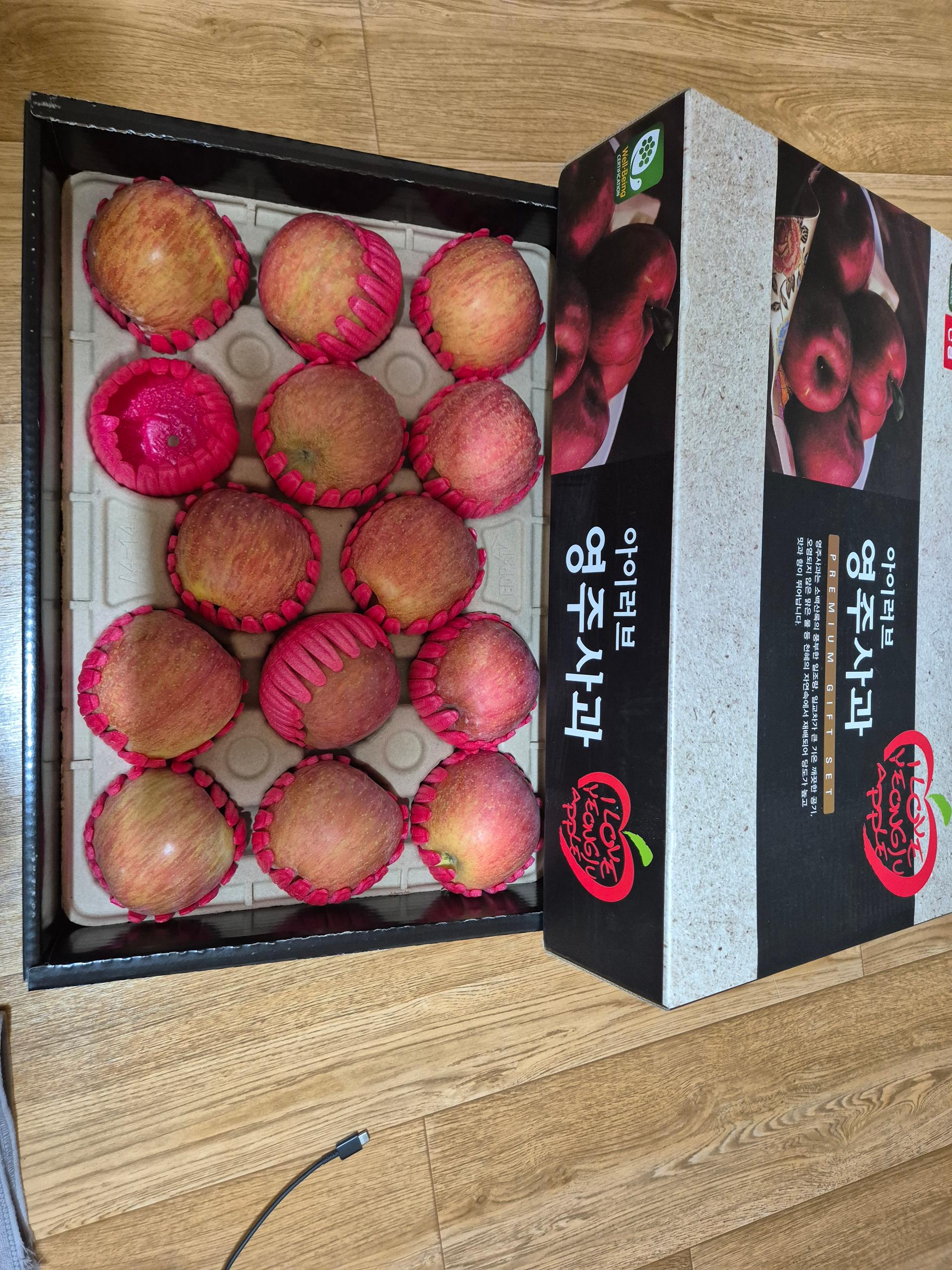 포토후기 이미지