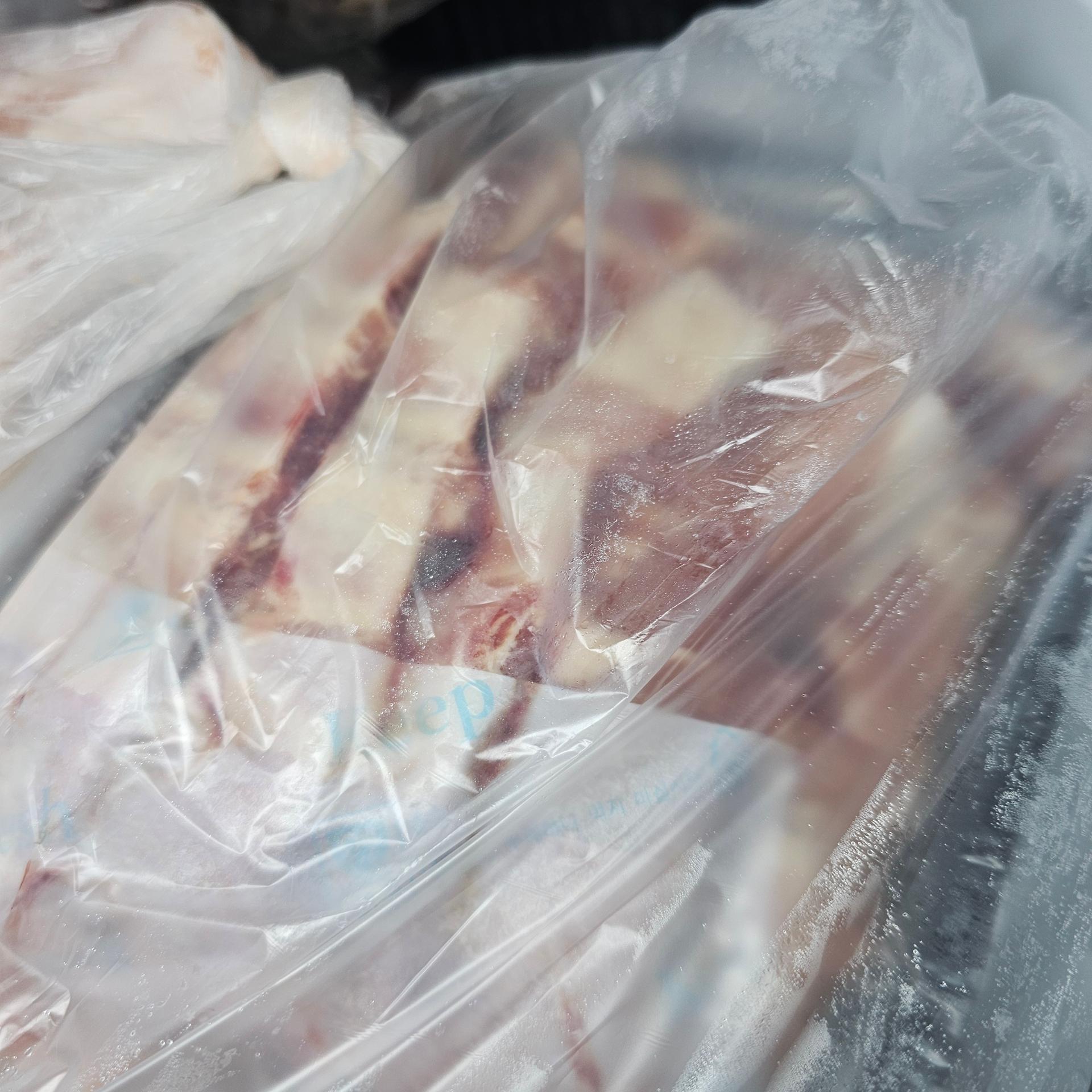 포토후기 이미지