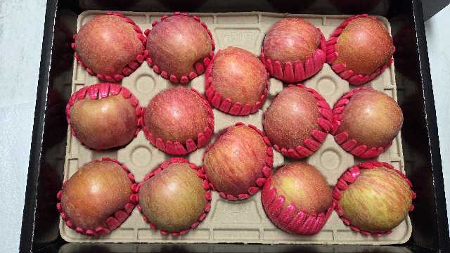 대경사과원예농협 영주사과 3.2kg 선물세트 (11입내)+1kg 추가증정-2