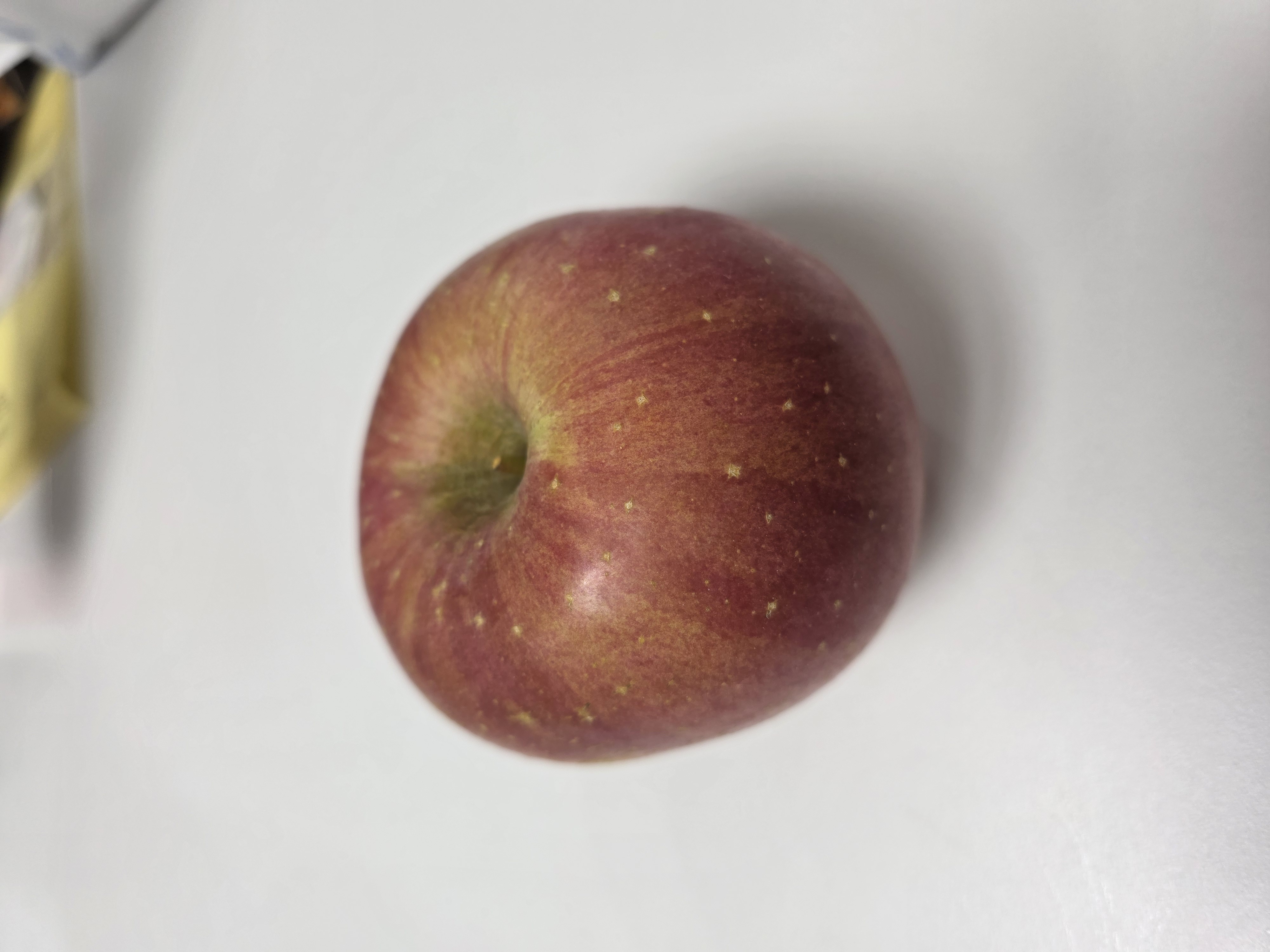 대경사과원예농협 영주사과 3.2kg 선물세트 (11입내)+1kg 추가증정-1