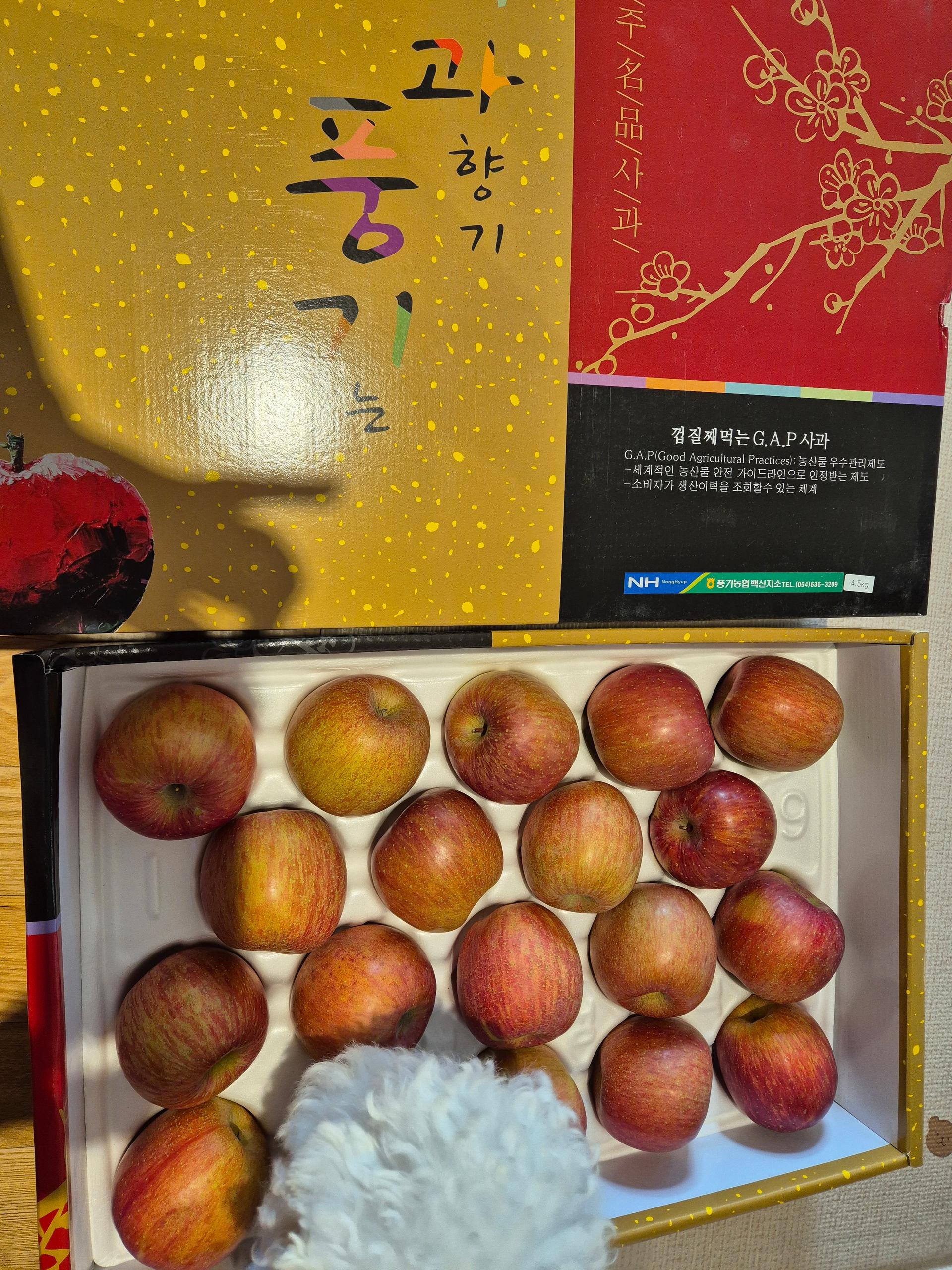 포토후기 이미지