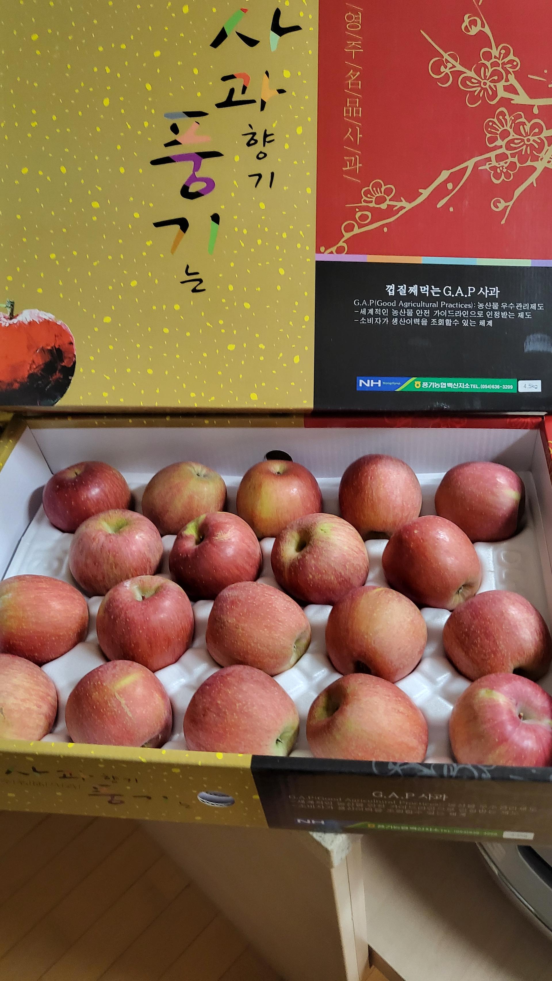 포토후기 이미지