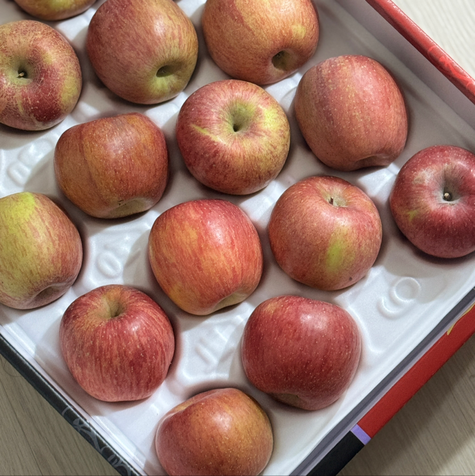 풍기농협 영주사과 3.5kg + 1kg 추가증정-1