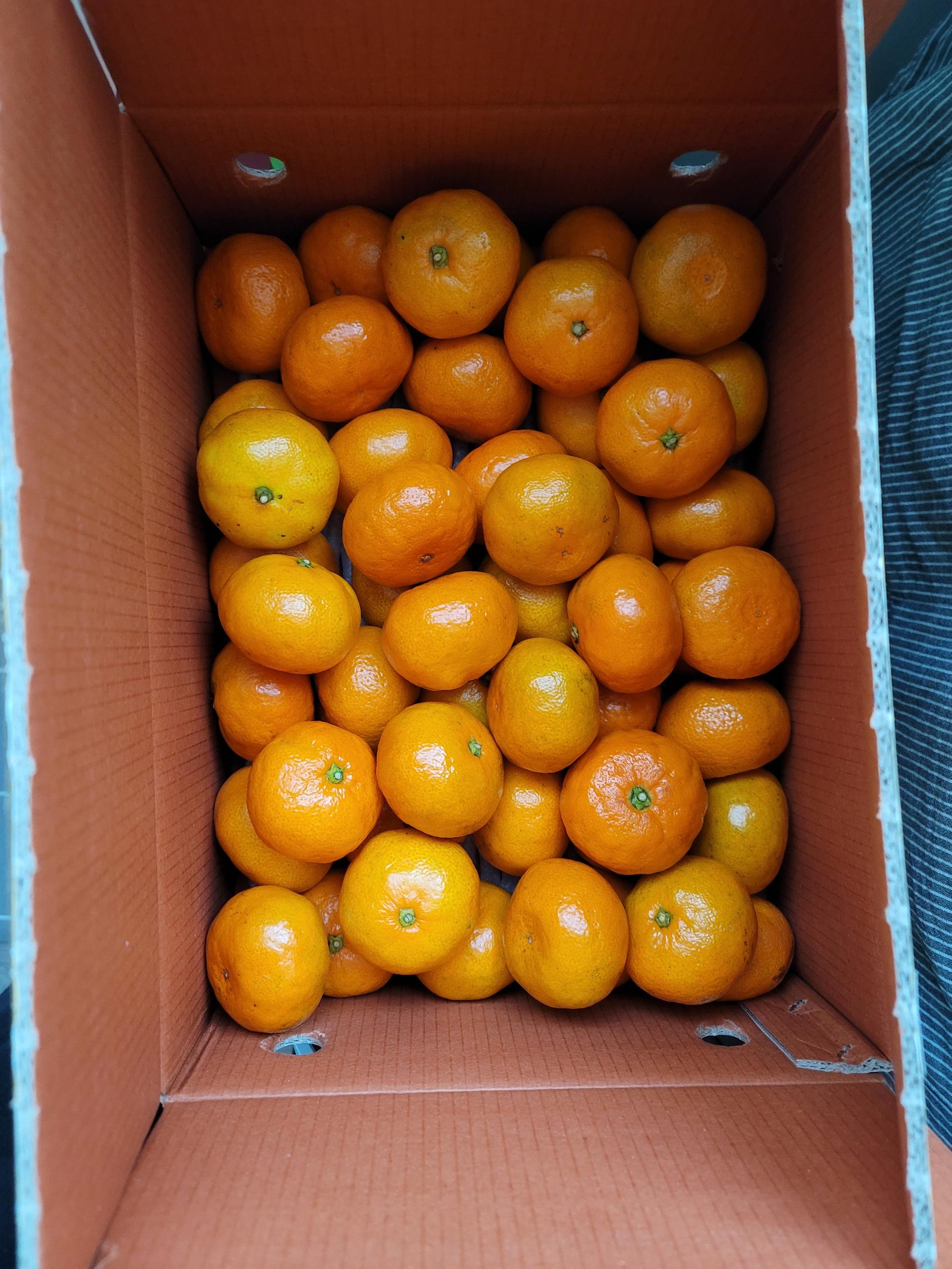 포토후기 이미지