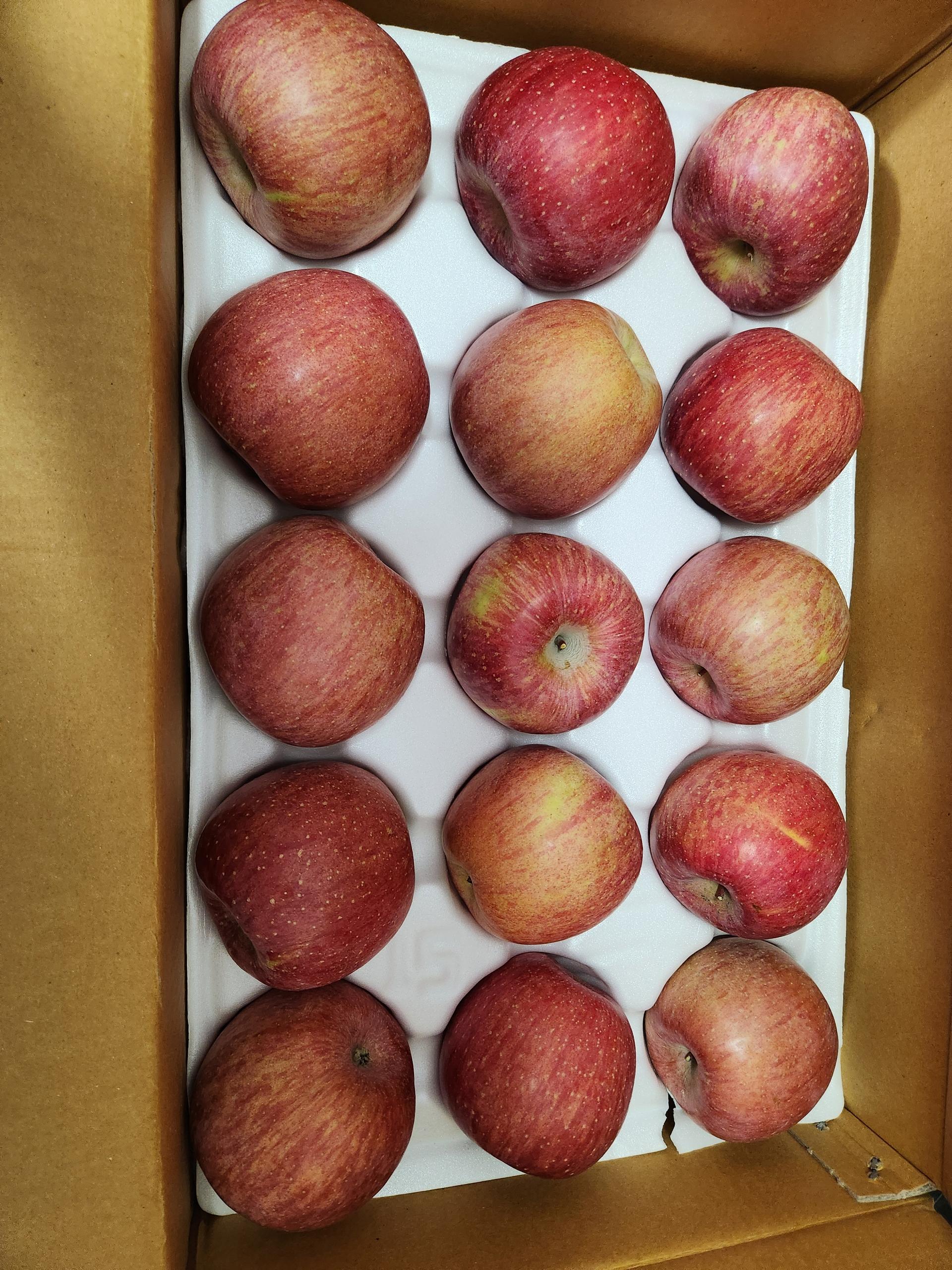 포토후기 이미지