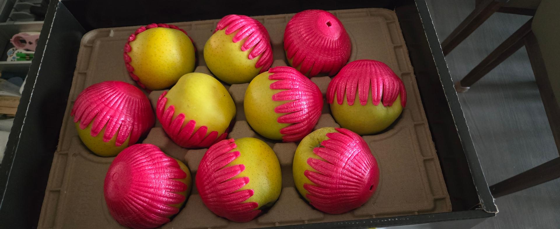 포토후기 이미지