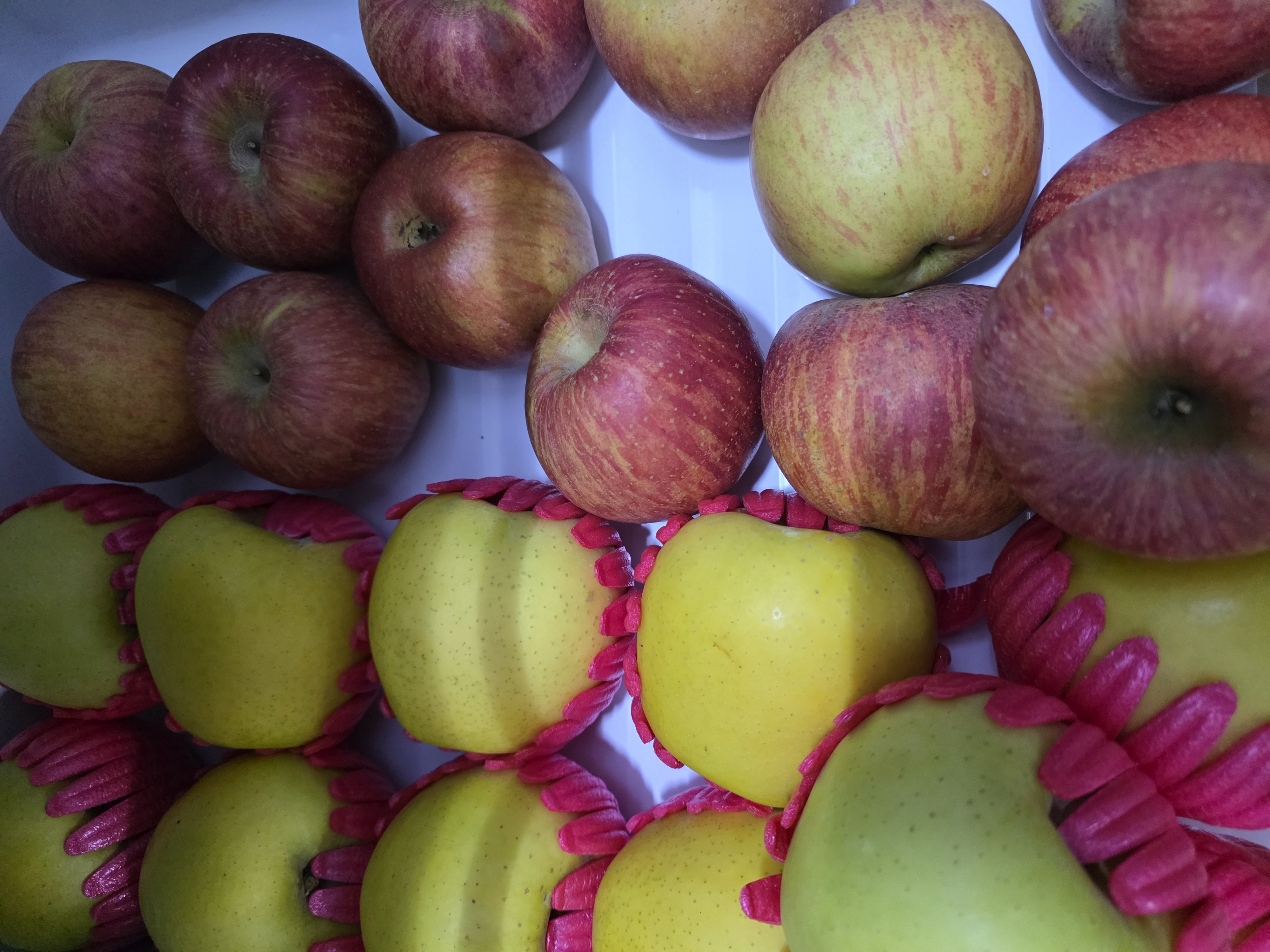 대경사과원예농협 영주사과 3.2kg 선물세트 (11입내)+1kg 추가증정-1